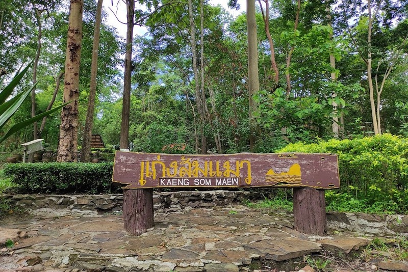 alpaca hill, camping field สวนผึ้ง, coro field, highland สวนผึ้ง, moai coffee, new land สวนผึ้ง, the camping field, the scenery vintage farm, veneto, veneto สวนผึ้ง, จุดชมวิวห้วยคอกหมู, จุดชมวิวเขากระโจม, ชิราคาวาโกะ คาเฟ่, ชิราคาวาโกะ สวนผึ้ง, ตลาดห้วยน้ำใส, ตลาดเช้าริมธาร, ตลาดเช้าริมธาร สวนผึ้ง, ตลาดโอ๊ะป่อย, ที่เที่ยวสวนผึ้ง, ที่เที่ยวสวนผึ้ง 2023, ที่เที่ยวสวนผึ้ง 2024, ที่เที่ยวสวนผึ้ง 2567, ธารน้ำร้อนบ่อคลึง, น้ำตกเก้าชั้น, น้ำตกเก้าโจน, นิวแลนด์ สวนผึ้ง, บ้านมอญห้วยน้ำใส, บ้านหอมเทียน, ราชบุรี, วอเตอร์ปาร์ค สวนผึ้ง, สวนป่าสิริกิตติ์, สวนผึ้ง, สวนผึ้งไฮแลนด์, สวนเลม่อน พสุธารา, สวนเลม่อน สวนผึ้ง, ห้วยคอกหมู, อัลปาก้า ฮิลล์, เขากระโจม, เดอะ ซีนเนอร์รี่ วินเทจ ฟาร์ม, เดอะรีสอร์ท วอเตอร์ปาร์ค, เที่ยวสวนผึ้ง, เที่ยวสวนผึ้ง 2024, เที่ยวสวนผึ้ง 2567, เวเนโต้ สวนผึ้ง, แก่งส้มแมว, โคโร่ ฟิลด์, โมไอ สวนผึ้ง, ไร่องุ่นมีสุข, ไร่องุ่นมีสุข สวนผึ้ง, top 20+ ที่เที่ยวสวนผึ้ง [กรกฎาคม 2024] สัมผัสธรรมชาติ ท่ามกลางหุบเขา จังหวัดราชบุรี