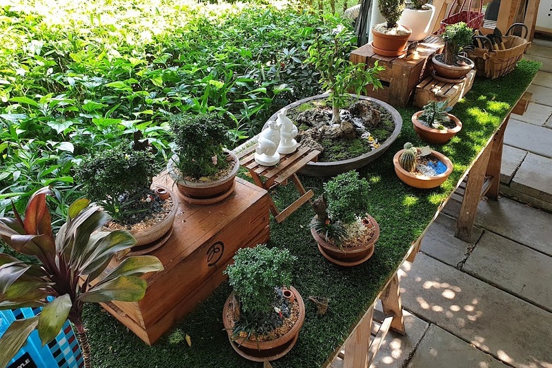 alpaca hill, camping field สวนผึ้ง, coro field, highland สวนผึ้ง, moai coffee, new land สวนผึ้ง, the camping field, the scenery vintage farm, veneto, veneto สวนผึ้ง, จุดชมวิวห้วยคอกหมู, จุดชมวิวเขากระโจม, ชิราคาวาโกะ คาเฟ่, ชิราคาวาโกะ สวนผึ้ง, ตลาดห้วยน้ำใส, ตลาดเช้าริมธาร, ตลาดเช้าริมธาร สวนผึ้ง, ตลาดโอ๊ะป่อย, ที่เที่ยวสวนผึ้ง, ที่เที่ยวสวนผึ้ง 2023, ที่เที่ยวสวนผึ้ง 2024, ที่เที่ยวสวนผึ้ง 2567, ธารน้ำร้อนบ่อคลึง, น้ำตกเก้าชั้น, น้ำตกเก้าโจน, นิวแลนด์ สวนผึ้ง, บ้านมอญห้วยน้ำใส, บ้านหอมเทียน, ราชบุรี, วอเตอร์ปาร์ค สวนผึ้ง, สวนป่าสิริกิตติ์, สวนผึ้ง, สวนผึ้งไฮแลนด์, สวนเลม่อน พสุธารา, สวนเลม่อน สวนผึ้ง, ห้วยคอกหมู, อัลปาก้า ฮิลล์, เขากระโจม, เดอะ ซีนเนอร์รี่ วินเทจ ฟาร์ม, เดอะรีสอร์ท วอเตอร์ปาร์ค, เที่ยวสวนผึ้ง, เที่ยวสวนผึ้ง 2024, เที่ยวสวนผึ้ง 2567, เวเนโต้ สวนผึ้ง, แก่งส้มแมว, โคโร่ ฟิลด์, โมไอ สวนผึ้ง, ไร่องุ่นมีสุข, ไร่องุ่นมีสุข สวนผึ้ง, top 20+ ที่เที่ยวสวนผึ้ง [กรกฎาคม 2024] สัมผัสธรรมชาติ ท่ามกลางหุบเขา จังหวัดราชบุรี