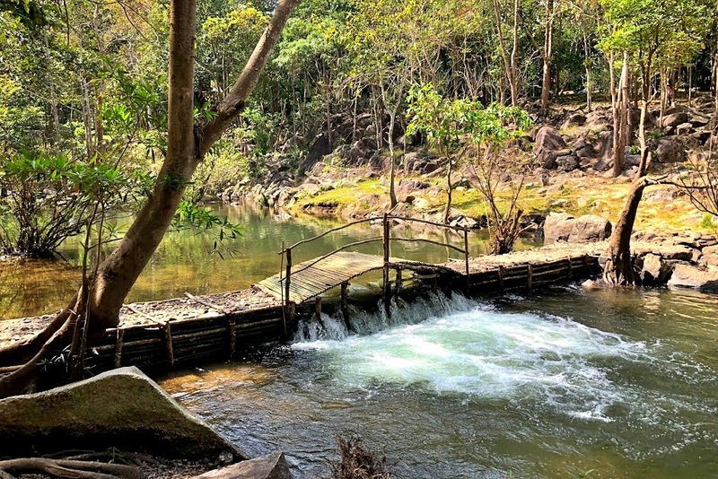 alpaca hill, camping field สวนผึ้ง, coro field, highland สวนผึ้ง, moai coffee, new land สวนผึ้ง, the camping field, the scenery vintage farm, veneto, veneto สวนผึ้ง, จุดชมวิวห้วยคอกหมู, จุดชมวิวเขากระโจม, ชิราคาวาโกะ คาเฟ่, ชิราคาวาโกะ สวนผึ้ง, ตลาดห้วยน้ำใส, ตลาดเช้าริมธาร, ตลาดเช้าริมธาร สวนผึ้ง, ตลาดโอ๊ะป่อย, ที่เที่ยวสวนผึ้ง, ที่เที่ยวสวนผึ้ง 2023, ที่เที่ยวสวนผึ้ง 2024, ที่เที่ยวสวนผึ้ง 2567, ธารน้ำร้อนบ่อคลึง, น้ำตกเก้าชั้น, น้ำตกเก้าโจน, นิวแลนด์ สวนผึ้ง, บ้านมอญห้วยน้ำใส, บ้านหอมเทียน, ราชบุรี, วอเตอร์ปาร์ค สวนผึ้ง, สวนป่าสิริกิตติ์, สวนผึ้ง, สวนผึ้งไฮแลนด์, สวนเลม่อน พสุธารา, สวนเลม่อน สวนผึ้ง, ห้วยคอกหมู, อัลปาก้า ฮิลล์, เขากระโจม, เดอะ ซีนเนอร์รี่ วินเทจ ฟาร์ม, เดอะรีสอร์ท วอเตอร์ปาร์ค, เที่ยวสวนผึ้ง, เที่ยวสวนผึ้ง 2024, เที่ยวสวนผึ้ง 2567, เวเนโต้ สวนผึ้ง, แก่งส้มแมว, โคโร่ ฟิลด์, โมไอ สวนผึ้ง, ไร่องุ่นมีสุข, ไร่องุ่นมีสุข สวนผึ้ง, top 20+ ที่เที่ยวสวนผึ้ง [กรกฎาคม 2024] สัมผัสธรรมชาติ ท่ามกลางหุบเขา จังหวัดราชบุรี