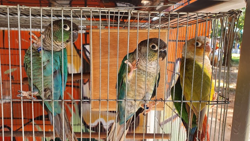 alpaca hill, camping field สวนผึ้ง, coro field, highland สวนผึ้ง, moai coffee, new land สวนผึ้ง, the camping field, the scenery vintage farm, veneto, veneto สวนผึ้ง, จุดชมวิวห้วยคอกหมู, จุดชมวิวเขากระโจม, ชิราคาวาโกะ คาเฟ่, ชิราคาวาโกะ สวนผึ้ง, ตลาดห้วยน้ำใส, ตลาดเช้าริมธาร, ตลาดเช้าริมธาร สวนผึ้ง, ตลาดโอ๊ะป่อย, ที่เที่ยวสวนผึ้ง, ที่เที่ยวสวนผึ้ง 2023, ที่เที่ยวสวนผึ้ง 2024, ที่เที่ยวสวนผึ้ง 2567, ธารน้ำร้อนบ่อคลึง, น้ำตกเก้าชั้น, น้ำตกเก้าโจน, นิวแลนด์ สวนผึ้ง, บ้านมอญห้วยน้ำใส, บ้านหอมเทียน, ราชบุรี, วอเตอร์ปาร์ค สวนผึ้ง, สวนป่าสิริกิตติ์, สวนผึ้ง, สวนผึ้งไฮแลนด์, สวนเลม่อน พสุธารา, สวนเลม่อน สวนผึ้ง, ห้วยคอกหมู, อัลปาก้า ฮิลล์, เขากระโจม, เดอะ ซีนเนอร์รี่ วินเทจ ฟาร์ม, เดอะรีสอร์ท วอเตอร์ปาร์ค, เที่ยวสวนผึ้ง, เที่ยวสวนผึ้ง 2024, เที่ยวสวนผึ้ง 2567, เวเนโต้ สวนผึ้ง, แก่งส้มแมว, โคโร่ ฟิลด์, โมไอ สวนผึ้ง, ไร่องุ่นมีสุข, ไร่องุ่นมีสุข สวนผึ้ง, top 20+ ที่เที่ยวสวนผึ้ง [กรกฎาคม 2024] สัมผัสธรรมชาติ ท่ามกลางหุบเขา จังหวัดราชบุรี