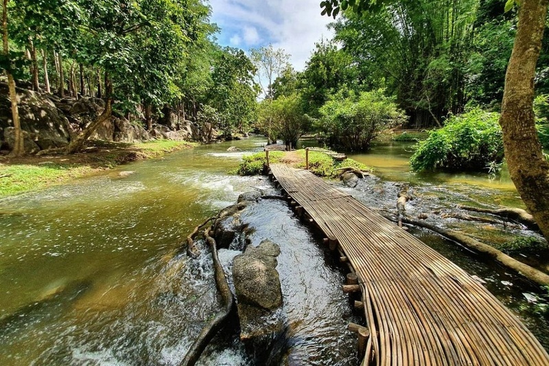 alpaca hill, camping field สวนผึ้ง, coro field, highland สวนผึ้ง, moai coffee, new land สวนผึ้ง, the camping field, the scenery vintage farm, veneto, veneto สวนผึ้ง, จุดชมวิวห้วยคอกหมู, จุดชมวิวเขากระโจม, ชิราคาวาโกะ คาเฟ่, ชิราคาวาโกะ สวนผึ้ง, ตลาดห้วยน้ำใส, ตลาดเช้าริมธาร, ตลาดเช้าริมธาร สวนผึ้ง, ตลาดโอ๊ะป่อย, ที่เที่ยวสวนผึ้ง, ที่เที่ยวสวนผึ้ง 2023, ที่เที่ยวสวนผึ้ง 2024, ที่เที่ยวสวนผึ้ง 2567, ธารน้ำร้อนบ่อคลึง, น้ำตกเก้าชั้น, น้ำตกเก้าโจน, นิวแลนด์ สวนผึ้ง, บ้านมอญห้วยน้ำใส, บ้านหอมเทียน, ราชบุรี, วอเตอร์ปาร์ค สวนผึ้ง, สวนป่าสิริกิตติ์, สวนผึ้ง, สวนผึ้งไฮแลนด์, สวนเลม่อน พสุธารา, สวนเลม่อน สวนผึ้ง, ห้วยคอกหมู, อัลปาก้า ฮิลล์, เขากระโจม, เดอะ ซีนเนอร์รี่ วินเทจ ฟาร์ม, เดอะรีสอร์ท วอเตอร์ปาร์ค, เที่ยวสวนผึ้ง, เที่ยวสวนผึ้ง 2024, เที่ยวสวนผึ้ง 2567, เวเนโต้ สวนผึ้ง, แก่งส้มแมว, โคโร่ ฟิลด์, โมไอ สวนผึ้ง, ไร่องุ่นมีสุข, ไร่องุ่นมีสุข สวนผึ้ง, top 20+ ที่เที่ยวสวนผึ้ง [กรกฎาคม 2024] สัมผัสธรรมชาติ ท่ามกลางหุบเขา จังหวัดราชบุรี