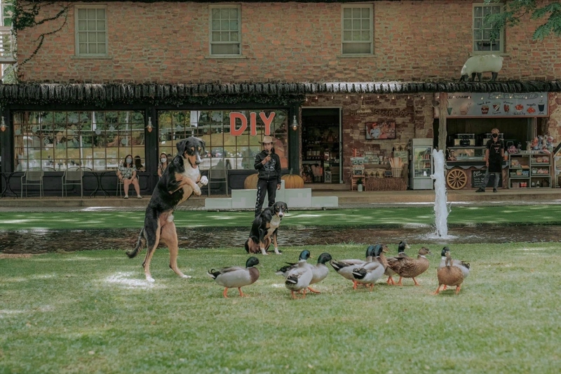 alpaca hill, camping field สวนผึ้ง, coro field, highland สวนผึ้ง, moai coffee, new land สวนผึ้ง, the camping field, the scenery vintage farm, veneto, veneto สวนผึ้ง, จุดชมวิวห้วยคอกหมู, จุดชมวิวเขากระโจม, ชิราคาวาโกะ คาเฟ่, ชิราคาวาโกะ สวนผึ้ง, ตลาดห้วยน้ำใส, ตลาดเช้าริมธาร, ตลาดเช้าริมธาร สวนผึ้ง, ตลาดโอ๊ะป่อย, ที่เที่ยวสวนผึ้ง, ที่เที่ยวสวนผึ้ง 2023, ที่เที่ยวสวนผึ้ง 2024, ที่เที่ยวสวนผึ้ง 2567, ธารน้ำร้อนบ่อคลึง, น้ำตกเก้าชั้น, น้ำตกเก้าโจน, นิวแลนด์ สวนผึ้ง, บ้านมอญห้วยน้ำใส, บ้านหอมเทียน, ราชบุรี, วอเตอร์ปาร์ค สวนผึ้ง, สวนป่าสิริกิตติ์, สวนผึ้ง, สวนผึ้งไฮแลนด์, สวนเลม่อน พสุธารา, สวนเลม่อน สวนผึ้ง, ห้วยคอกหมู, อัลปาก้า ฮิลล์, เขากระโจม, เดอะ ซีนเนอร์รี่ วินเทจ ฟาร์ม, เดอะรีสอร์ท วอเตอร์ปาร์ค, เที่ยวสวนผึ้ง, เที่ยวสวนผึ้ง 2024, เที่ยวสวนผึ้ง 2567, เวเนโต้ สวนผึ้ง, แก่งส้มแมว, โคโร่ ฟิลด์, โมไอ สวนผึ้ง, ไร่องุ่นมีสุข, ไร่องุ่นมีสุข สวนผึ้ง, top 20+ ที่เที่ยวสวนผึ้ง [กรกฎาคม 2024] สัมผัสธรรมชาติ ท่ามกลางหุบเขา จังหวัดราชบุรี