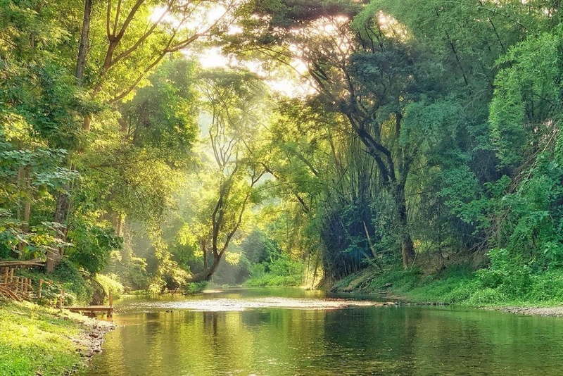 alpaca hill, camping field สวนผึ้ง, coro field, highland สวนผึ้ง, moai coffee, new land สวนผึ้ง, the camping field, the scenery vintage farm, veneto, veneto สวนผึ้ง, จุดชมวิวห้วยคอกหมู, จุดชมวิวเขากระโจม, ชิราคาวาโกะ คาเฟ่, ชิราคาวาโกะ สวนผึ้ง, ตลาดห้วยน้ำใส, ตลาดเช้าริมธาร, ตลาดเช้าริมธาร สวนผึ้ง, ตลาดโอ๊ะป่อย, ที่เที่ยวสวนผึ้ง, ที่เที่ยวสวนผึ้ง 2023, ที่เที่ยวสวนผึ้ง 2024, ที่เที่ยวสวนผึ้ง 2567, ธารน้ำร้อนบ่อคลึง, น้ำตกเก้าชั้น, น้ำตกเก้าโจน, นิวแลนด์ สวนผึ้ง, บ้านมอญห้วยน้ำใส, บ้านหอมเทียน, ราชบุรี, วอเตอร์ปาร์ค สวนผึ้ง, สวนป่าสิริกิตติ์, สวนผึ้ง, สวนผึ้งไฮแลนด์, สวนเลม่อน พสุธารา, สวนเลม่อน สวนผึ้ง, ห้วยคอกหมู, อัลปาก้า ฮิลล์, เขากระโจม, เดอะ ซีนเนอร์รี่ วินเทจ ฟาร์ม, เดอะรีสอร์ท วอเตอร์ปาร์ค, เที่ยวสวนผึ้ง, เที่ยวสวนผึ้ง 2024, เที่ยวสวนผึ้ง 2567, เวเนโต้ สวนผึ้ง, แก่งส้มแมว, โคโร่ ฟิลด์, โมไอ สวนผึ้ง, ไร่องุ่นมีสุข, ไร่องุ่นมีสุข สวนผึ้ง, top 20+ ที่เที่ยวสวนผึ้ง [กรกฎาคม 2024] สัมผัสธรรมชาติ ท่ามกลางหุบเขา จังหวัดราชบุรี