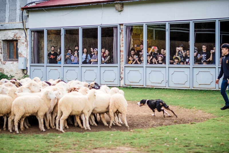 alpaca hill, camping field สวนผึ้ง, coro field, highland สวนผึ้ง, moai coffee, new land สวนผึ้ง, the camping field, the scenery vintage farm, veneto, veneto สวนผึ้ง, จุดชมวิวห้วยคอกหมู, จุดชมวิวเขากระโจม, ชิราคาวาโกะ คาเฟ่, ชิราคาวาโกะ สวนผึ้ง, ตลาดห้วยน้ำใส, ตลาดเช้าริมธาร, ตลาดเช้าริมธาร สวนผึ้ง, ตลาดโอ๊ะป่อย, ที่เที่ยวสวนผึ้ง, ที่เที่ยวสวนผึ้ง 2023, ที่เที่ยวสวนผึ้ง 2024, ที่เที่ยวสวนผึ้ง 2567, ธารน้ำร้อนบ่อคลึง, น้ำตกเก้าชั้น, น้ำตกเก้าโจน, นิวแลนด์ สวนผึ้ง, บ้านมอญห้วยน้ำใส, บ้านหอมเทียน, ราชบุรี, วอเตอร์ปาร์ค สวนผึ้ง, สวนป่าสิริกิตติ์, สวนผึ้ง, สวนผึ้งไฮแลนด์, สวนเลม่อน พสุธารา, สวนเลม่อน สวนผึ้ง, ห้วยคอกหมู, อัลปาก้า ฮิลล์, เขากระโจม, เดอะ ซีนเนอร์รี่ วินเทจ ฟาร์ม, เดอะรีสอร์ท วอเตอร์ปาร์ค, เที่ยวสวนผึ้ง, เที่ยวสวนผึ้ง 2024, เที่ยวสวนผึ้ง 2567, เวเนโต้ สวนผึ้ง, แก่งส้มแมว, โคโร่ ฟิลด์, โมไอ สวนผึ้ง, ไร่องุ่นมีสุข, ไร่องุ่นมีสุข สวนผึ้ง, top 20+ ที่เที่ยวสวนผึ้ง [กรกฎาคม 2024] สัมผัสธรรมชาติ ท่ามกลางหุบเขา จังหวัดราชบุรี