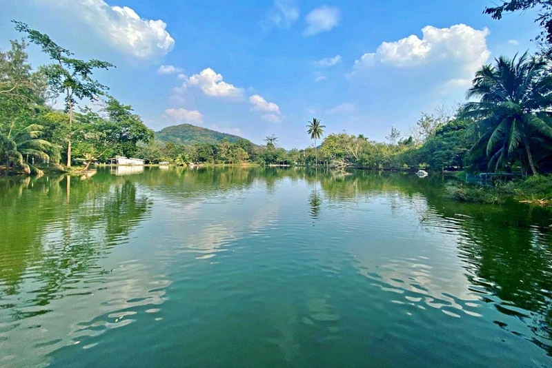 alpaca hill, camping field สวนผึ้ง, coro field, highland สวนผึ้ง, moai coffee, new land สวนผึ้ง, the camping field, the scenery vintage farm, veneto, veneto สวนผึ้ง, จุดชมวิวห้วยคอกหมู, จุดชมวิวเขากระโจม, ชิราคาวาโกะ คาเฟ่, ชิราคาวาโกะ สวนผึ้ง, ตลาดห้วยน้ำใส, ตลาดเช้าริมธาร, ตลาดเช้าริมธาร สวนผึ้ง, ตลาดโอ๊ะป่อย, ที่เที่ยวสวนผึ้ง, ที่เที่ยวสวนผึ้ง 2023, ที่เที่ยวสวนผึ้ง 2024, ที่เที่ยวสวนผึ้ง 2567, ธารน้ำร้อนบ่อคลึง, น้ำตกเก้าชั้น, น้ำตกเก้าโจน, นิวแลนด์ สวนผึ้ง, บ้านมอญห้วยน้ำใส, บ้านหอมเทียน, ราชบุรี, วอเตอร์ปาร์ค สวนผึ้ง, สวนป่าสิริกิตติ์, สวนผึ้ง, สวนผึ้งไฮแลนด์, สวนเลม่อน พสุธารา, สวนเลม่อน สวนผึ้ง, ห้วยคอกหมู, อัลปาก้า ฮิลล์, เขากระโจม, เดอะ ซีนเนอร์รี่ วินเทจ ฟาร์ม, เดอะรีสอร์ท วอเตอร์ปาร์ค, เที่ยวสวนผึ้ง, เที่ยวสวนผึ้ง 2024, เที่ยวสวนผึ้ง 2567, เวเนโต้ สวนผึ้ง, แก่งส้มแมว, โคโร่ ฟิลด์, โมไอ สวนผึ้ง, ไร่องุ่นมีสุข, ไร่องุ่นมีสุข สวนผึ้ง, top 20+ ที่เที่ยวสวนผึ้ง [กรกฎาคม 2024] สัมผัสธรรมชาติ ท่ามกลางหุบเขา จังหวัดราชบุรี