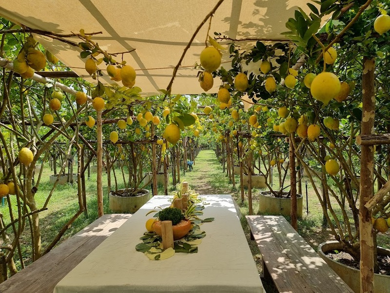 alpaca hill, camping field สวนผึ้ง, coro field, highland สวนผึ้ง, moai coffee, new land สวนผึ้ง, the camping field, the scenery vintage farm, veneto, veneto สวนผึ้ง, จุดชมวิวห้วยคอกหมู, จุดชมวิวเขากระโจม, ชิราคาวาโกะ คาเฟ่, ชิราคาวาโกะ สวนผึ้ง, ตลาดห้วยน้ำใส, ตลาดเช้าริมธาร, ตลาดเช้าริมธาร สวนผึ้ง, ตลาดโอ๊ะป่อย, ที่เที่ยวสวนผึ้ง, ที่เที่ยวสวนผึ้ง 2023, ที่เที่ยวสวนผึ้ง 2024, ที่เที่ยวสวนผึ้ง 2567, ธารน้ำร้อนบ่อคลึง, น้ำตกเก้าชั้น, น้ำตกเก้าโจน, นิวแลนด์ สวนผึ้ง, บ้านมอญห้วยน้ำใส, บ้านหอมเทียน, ราชบุรี, วอเตอร์ปาร์ค สวนผึ้ง, สวนป่าสิริกิตติ์, สวนผึ้ง, สวนผึ้งไฮแลนด์, สวนเลม่อน พสุธารา, สวนเลม่อน สวนผึ้ง, ห้วยคอกหมู, อัลปาก้า ฮิลล์, เขากระโจม, เดอะ ซีนเนอร์รี่ วินเทจ ฟาร์ม, เดอะรีสอร์ท วอเตอร์ปาร์ค, เที่ยวสวนผึ้ง, เที่ยวสวนผึ้ง 2024, เที่ยวสวนผึ้ง 2567, เวเนโต้ สวนผึ้ง, แก่งส้มแมว, โคโร่ ฟิลด์, โมไอ สวนผึ้ง, ไร่องุ่นมีสุข, ไร่องุ่นมีสุข สวนผึ้ง, top 20+ ที่เที่ยวสวนผึ้ง [กรกฎาคม 2024] สัมผัสธรรมชาติ ท่ามกลางหุบเขา จังหวัดราชบุรี