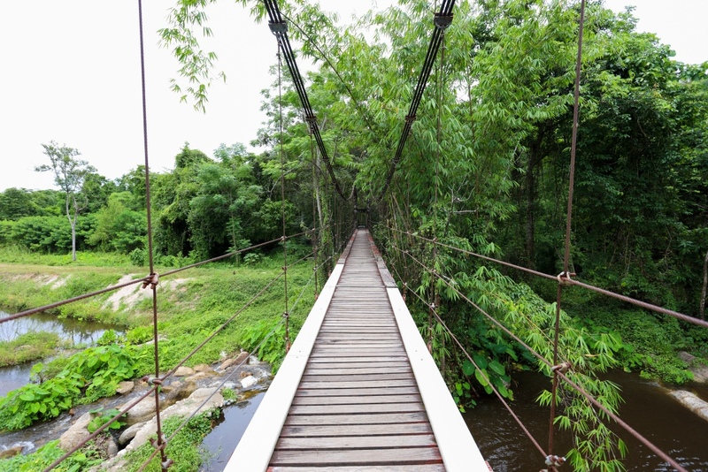 alpaca hill, camping field สวนผึ้ง, coro field, highland สวนผึ้ง, moai coffee, new land สวนผึ้ง, the camping field, the scenery vintage farm, veneto, veneto สวนผึ้ง, จุดชมวิวห้วยคอกหมู, จุดชมวิวเขากระโจม, ชิราคาวาโกะ คาเฟ่, ชิราคาวาโกะ สวนผึ้ง, ตลาดห้วยน้ำใส, ตลาดเช้าริมธาร, ตลาดเช้าริมธาร สวนผึ้ง, ตลาดโอ๊ะป่อย, ที่เที่ยวสวนผึ้ง, ที่เที่ยวสวนผึ้ง 2023, ที่เที่ยวสวนผึ้ง 2024, ที่เที่ยวสวนผึ้ง 2567, ธารน้ำร้อนบ่อคลึง, น้ำตกเก้าชั้น, น้ำตกเก้าโจน, นิวแลนด์ สวนผึ้ง, บ้านมอญห้วยน้ำใส, บ้านหอมเทียน, ราชบุรี, วอเตอร์ปาร์ค สวนผึ้ง, สวนป่าสิริกิตติ์, สวนผึ้ง, สวนผึ้งไฮแลนด์, สวนเลม่อน พสุธารา, สวนเลม่อน สวนผึ้ง, ห้วยคอกหมู, อัลปาก้า ฮิลล์, เขากระโจม, เดอะ ซีนเนอร์รี่ วินเทจ ฟาร์ม, เดอะรีสอร์ท วอเตอร์ปาร์ค, เที่ยวสวนผึ้ง, เที่ยวสวนผึ้ง 2024, เที่ยวสวนผึ้ง 2567, เวเนโต้ สวนผึ้ง, แก่งส้มแมว, โคโร่ ฟิลด์, โมไอ สวนผึ้ง, ไร่องุ่นมีสุข, ไร่องุ่นมีสุข สวนผึ้ง, top 20+ ที่เที่ยวสวนผึ้ง [กรกฎาคม 2024] สัมผัสธรรมชาติ ท่ามกลางหุบเขา จังหวัดราชบุรี