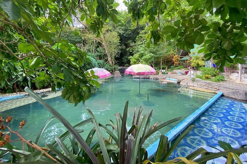 alpaca hill, camping field สวนผึ้ง, coro field, highland สวนผึ้ง, moai coffee, new land สวนผึ้ง, the camping field, the scenery vintage farm, veneto, veneto สวนผึ้ง, จุดชมวิวห้วยคอกหมู, จุดชมวิวเขากระโจม, ชิราคาวาโกะ คาเฟ่, ชิราคาวาโกะ สวนผึ้ง, ตลาดห้วยน้ำใส, ตลาดเช้าริมธาร, ตลาดเช้าริมธาร สวนผึ้ง, ตลาดโอ๊ะป่อย, ที่เที่ยวสวนผึ้ง, ที่เที่ยวสวนผึ้ง 2023, ที่เที่ยวสวนผึ้ง 2024, ที่เที่ยวสวนผึ้ง 2567, ธารน้ำร้อนบ่อคลึง, น้ำตกเก้าชั้น, น้ำตกเก้าโจน, นิวแลนด์ สวนผึ้ง, บ้านมอญห้วยน้ำใส, บ้านหอมเทียน, ราชบุรี, วอเตอร์ปาร์ค สวนผึ้ง, สวนป่าสิริกิตติ์, สวนผึ้ง, สวนผึ้งไฮแลนด์, สวนเลม่อน พสุธารา, สวนเลม่อน สวนผึ้ง, ห้วยคอกหมู, อัลปาก้า ฮิลล์, เขากระโจม, เดอะ ซีนเนอร์รี่ วินเทจ ฟาร์ม, เดอะรีสอร์ท วอเตอร์ปาร์ค, เที่ยวสวนผึ้ง, เที่ยวสวนผึ้ง 2024, เที่ยวสวนผึ้ง 2567, เวเนโต้ สวนผึ้ง, แก่งส้มแมว, โคโร่ ฟิลด์, โมไอ สวนผึ้ง, ไร่องุ่นมีสุข, ไร่องุ่นมีสุข สวนผึ้ง, top 20+ ที่เที่ยวสวนผึ้ง [กรกฎาคม 2024] สัมผัสธรรมชาติ ท่ามกลางหุบเขา จังหวัดราชบุรี