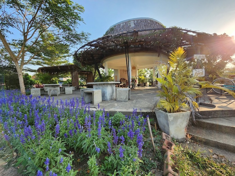 alpaca hill, camping field สวนผึ้ง, coro field, highland สวนผึ้ง, moai coffee, new land สวนผึ้ง, the camping field, the scenery vintage farm, veneto, veneto สวนผึ้ง, จุดชมวิวห้วยคอกหมู, จุดชมวิวเขากระโจม, ชิราคาวาโกะ คาเฟ่, ชิราคาวาโกะ สวนผึ้ง, ตลาดห้วยน้ำใส, ตลาดเช้าริมธาร, ตลาดเช้าริมธาร สวนผึ้ง, ตลาดโอ๊ะป่อย, ที่เที่ยวสวนผึ้ง, ที่เที่ยวสวนผึ้ง 2023, ที่เที่ยวสวนผึ้ง 2024, ที่เที่ยวสวนผึ้ง 2567, ธารน้ำร้อนบ่อคลึง, น้ำตกเก้าชั้น, น้ำตกเก้าโจน, นิวแลนด์ สวนผึ้ง, บ้านมอญห้วยน้ำใส, บ้านหอมเทียน, ราชบุรี, วอเตอร์ปาร์ค สวนผึ้ง, สวนป่าสิริกิตติ์, สวนผึ้ง, สวนผึ้งไฮแลนด์, สวนเลม่อน พสุธารา, สวนเลม่อน สวนผึ้ง, ห้วยคอกหมู, อัลปาก้า ฮิลล์, เขากระโจม, เดอะ ซีนเนอร์รี่ วินเทจ ฟาร์ม, เดอะรีสอร์ท วอเตอร์ปาร์ค, เที่ยวสวนผึ้ง, เที่ยวสวนผึ้ง 2024, เที่ยวสวนผึ้ง 2567, เวเนโต้ สวนผึ้ง, แก่งส้มแมว, โคโร่ ฟิลด์, โมไอ สวนผึ้ง, ไร่องุ่นมีสุข, ไร่องุ่นมีสุข สวนผึ้ง, top 20+ ที่เที่ยวสวนผึ้ง [กรกฎาคม 2024] สัมผัสธรรมชาติ ท่ามกลางหุบเขา จังหวัดราชบุรี