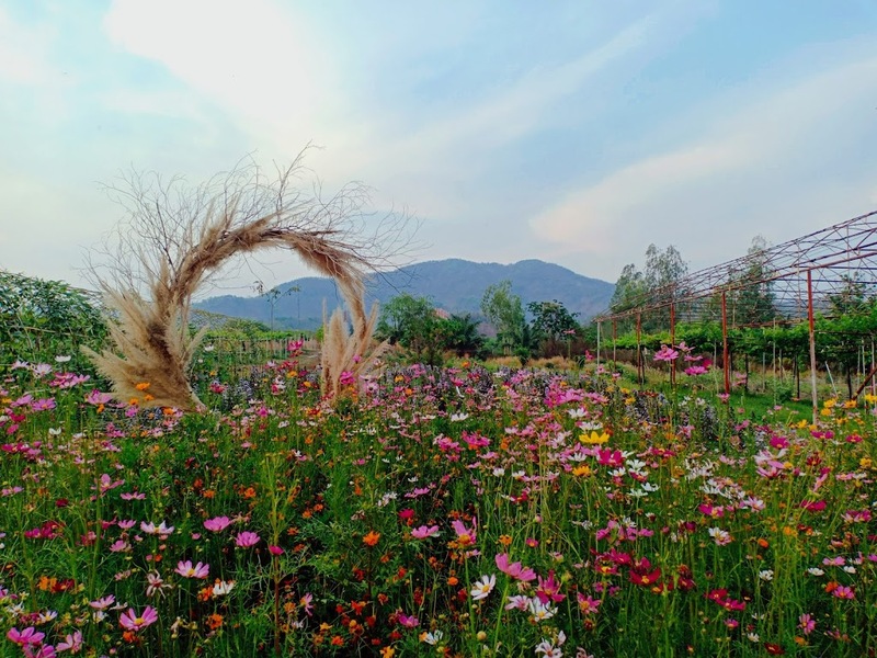 alpaca hill, camping field สวนผึ้ง, coro field, highland สวนผึ้ง, moai coffee, new land สวนผึ้ง, the camping field, the scenery vintage farm, veneto, veneto สวนผึ้ง, จุดชมวิวห้วยคอกหมู, จุดชมวิวเขากระโจม, ชิราคาวาโกะ คาเฟ่, ชิราคาวาโกะ สวนผึ้ง, ตลาดห้วยน้ำใส, ตลาดเช้าริมธาร, ตลาดเช้าริมธาร สวนผึ้ง, ตลาดโอ๊ะป่อย, ที่เที่ยวสวนผึ้ง, ที่เที่ยวสวนผึ้ง 2023, ที่เที่ยวสวนผึ้ง 2024, ที่เที่ยวสวนผึ้ง 2567, ธารน้ำร้อนบ่อคลึง, น้ำตกเก้าชั้น, น้ำตกเก้าโจน, นิวแลนด์ สวนผึ้ง, บ้านมอญห้วยน้ำใส, บ้านหอมเทียน, ราชบุรี, วอเตอร์ปาร์ค สวนผึ้ง, สวนป่าสิริกิตติ์, สวนผึ้ง, สวนผึ้งไฮแลนด์, สวนเลม่อน พสุธารา, สวนเลม่อน สวนผึ้ง, ห้วยคอกหมู, อัลปาก้า ฮิลล์, เขากระโจม, เดอะ ซีนเนอร์รี่ วินเทจ ฟาร์ม, เดอะรีสอร์ท วอเตอร์ปาร์ค, เที่ยวสวนผึ้ง, เที่ยวสวนผึ้ง 2024, เที่ยวสวนผึ้ง 2567, เวเนโต้ สวนผึ้ง, แก่งส้มแมว, โคโร่ ฟิลด์, โมไอ สวนผึ้ง, ไร่องุ่นมีสุข, ไร่องุ่นมีสุข สวนผึ้ง, top 20+ ที่เที่ยวสวนผึ้ง [กรกฎาคม 2024] สัมผัสธรรมชาติ ท่ามกลางหุบเขา จังหวัดราชบุรี