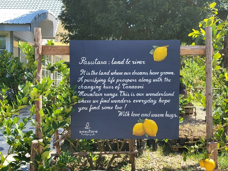 alpaca hill, camping field สวนผึ้ง, coro field, highland สวนผึ้ง, moai coffee, new land สวนผึ้ง, the camping field, the scenery vintage farm, veneto, veneto สวนผึ้ง, จุดชมวิวห้วยคอกหมู, จุดชมวิวเขากระโจม, ชิราคาวาโกะ คาเฟ่, ชิราคาวาโกะ สวนผึ้ง, ตลาดห้วยน้ำใส, ตลาดเช้าริมธาร, ตลาดเช้าริมธาร สวนผึ้ง, ตลาดโอ๊ะป่อย, ที่เที่ยวสวนผึ้ง, ที่เที่ยวสวนผึ้ง 2023, ที่เที่ยวสวนผึ้ง 2024, ที่เที่ยวสวนผึ้ง 2567, ธารน้ำร้อนบ่อคลึง, น้ำตกเก้าชั้น, น้ำตกเก้าโจน, นิวแลนด์ สวนผึ้ง, บ้านมอญห้วยน้ำใส, บ้านหอมเทียน, ราชบุรี, วอเตอร์ปาร์ค สวนผึ้ง, สวนป่าสิริกิตติ์, สวนผึ้ง, สวนผึ้งไฮแลนด์, สวนเลม่อน พสุธารา, สวนเลม่อน สวนผึ้ง, ห้วยคอกหมู, อัลปาก้า ฮิลล์, เขากระโจม, เดอะ ซีนเนอร์รี่ วินเทจ ฟาร์ม, เดอะรีสอร์ท วอเตอร์ปาร์ค, เที่ยวสวนผึ้ง, เที่ยวสวนผึ้ง 2024, เที่ยวสวนผึ้ง 2567, เวเนโต้ สวนผึ้ง, แก่งส้มแมว, โคโร่ ฟิลด์, โมไอ สวนผึ้ง, ไร่องุ่นมีสุข, ไร่องุ่นมีสุข สวนผึ้ง, top 20+ ที่เที่ยวสวนผึ้ง [กรกฎาคม 2024] สัมผัสธรรมชาติ ท่ามกลางหุบเขา จังหวัดราชบุรี