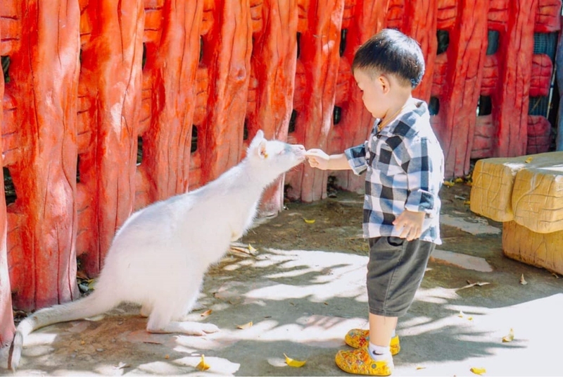 alpaca hill, camping field สวนผึ้ง, coro field, highland สวนผึ้ง, moai coffee, new land สวนผึ้ง, the camping field, the scenery vintage farm, veneto, veneto สวนผึ้ง, จุดชมวิวห้วยคอกหมู, จุดชมวิวเขากระโจม, ชิราคาวาโกะ คาเฟ่, ชิราคาวาโกะ สวนผึ้ง, ตลาดห้วยน้ำใส, ตลาดเช้าริมธาร, ตลาดเช้าริมธาร สวนผึ้ง, ตลาดโอ๊ะป่อย, ที่เที่ยวสวนผึ้ง, ที่เที่ยวสวนผึ้ง 2023, ที่เที่ยวสวนผึ้ง 2024, ที่เที่ยวสวนผึ้ง 2567, ธารน้ำร้อนบ่อคลึง, น้ำตกเก้าชั้น, น้ำตกเก้าโจน, นิวแลนด์ สวนผึ้ง, บ้านมอญห้วยน้ำใส, บ้านหอมเทียน, ราชบุรี, วอเตอร์ปาร์ค สวนผึ้ง, สวนป่าสิริกิตติ์, สวนผึ้ง, สวนผึ้งไฮแลนด์, สวนเลม่อน พสุธารา, สวนเลม่อน สวนผึ้ง, ห้วยคอกหมู, อัลปาก้า ฮิลล์, เขากระโจม, เดอะ ซีนเนอร์รี่ วินเทจ ฟาร์ม, เดอะรีสอร์ท วอเตอร์ปาร์ค, เที่ยวสวนผึ้ง, เที่ยวสวนผึ้ง 2024, เที่ยวสวนผึ้ง 2567, เวเนโต้ สวนผึ้ง, แก่งส้มแมว, โคโร่ ฟิลด์, โมไอ สวนผึ้ง, ไร่องุ่นมีสุข, ไร่องุ่นมีสุข สวนผึ้ง, top 20+ ที่เที่ยวสวนผึ้ง [กรกฎาคม 2024] สัมผัสธรรมชาติ ท่ามกลางหุบเขา จังหวัดราชบุรี