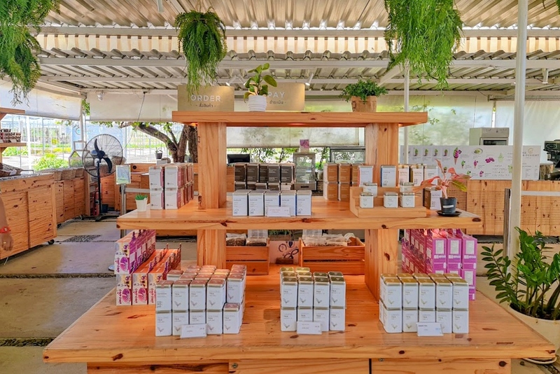 alpaca hill, camping field สวนผึ้ง, coro field, highland สวนผึ้ง, moai coffee, new land สวนผึ้ง, the camping field, the scenery vintage farm, veneto, veneto สวนผึ้ง, จุดชมวิวห้วยคอกหมู, จุดชมวิวเขากระโจม, ชิราคาวาโกะ คาเฟ่, ชิราคาวาโกะ สวนผึ้ง, ตลาดห้วยน้ำใส, ตลาดเช้าริมธาร, ตลาดเช้าริมธาร สวนผึ้ง, ตลาดโอ๊ะป่อย, ที่เที่ยวสวนผึ้ง, ที่เที่ยวสวนผึ้ง 2023, ที่เที่ยวสวนผึ้ง 2024, ที่เที่ยวสวนผึ้ง 2567, ธารน้ำร้อนบ่อคลึง, น้ำตกเก้าชั้น, น้ำตกเก้าโจน, นิวแลนด์ สวนผึ้ง, บ้านมอญห้วยน้ำใส, บ้านหอมเทียน, ราชบุรี, วอเตอร์ปาร์ค สวนผึ้ง, สวนป่าสิริกิตติ์, สวนผึ้ง, สวนผึ้งไฮแลนด์, สวนเลม่อน พสุธารา, สวนเลม่อน สวนผึ้ง, ห้วยคอกหมู, อัลปาก้า ฮิลล์, เขากระโจม, เดอะ ซีนเนอร์รี่ วินเทจ ฟาร์ม, เดอะรีสอร์ท วอเตอร์ปาร์ค, เที่ยวสวนผึ้ง, เที่ยวสวนผึ้ง 2024, เที่ยวสวนผึ้ง 2567, เวเนโต้ สวนผึ้ง, แก่งส้มแมว, โคโร่ ฟิลด์, โมไอ สวนผึ้ง, ไร่องุ่นมีสุข, ไร่องุ่นมีสุข สวนผึ้ง, top 20+ ที่เที่ยวสวนผึ้ง [กรกฎาคม 2024] สัมผัสธรรมชาติ ท่ามกลางหุบเขา จังหวัดราชบุรี