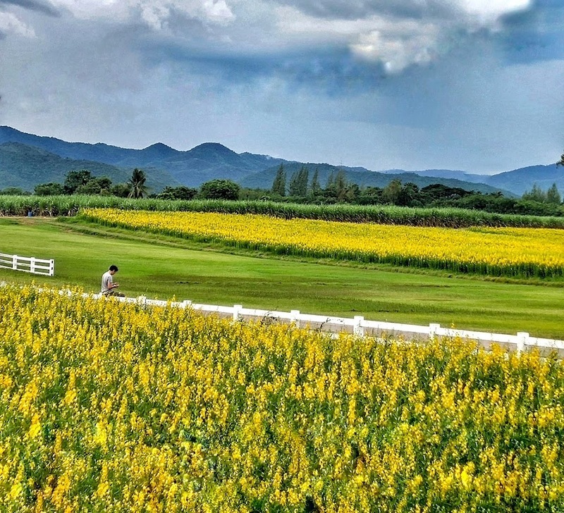 alpaca hill, camping field สวนผึ้ง, coro field, highland สวนผึ้ง, moai coffee, new land สวนผึ้ง, the camping field, the scenery vintage farm, veneto, veneto สวนผึ้ง, จุดชมวิวห้วยคอกหมู, จุดชมวิวเขากระโจม, ชิราคาวาโกะ คาเฟ่, ชิราคาวาโกะ สวนผึ้ง, ตลาดห้วยน้ำใส, ตลาดเช้าริมธาร, ตลาดเช้าริมธาร สวนผึ้ง, ตลาดโอ๊ะป่อย, ที่เที่ยวสวนผึ้ง, ที่เที่ยวสวนผึ้ง 2023, ที่เที่ยวสวนผึ้ง 2024, ที่เที่ยวสวนผึ้ง 2567, ธารน้ำร้อนบ่อคลึง, น้ำตกเก้าชั้น, น้ำตกเก้าโจน, นิวแลนด์ สวนผึ้ง, บ้านมอญห้วยน้ำใส, บ้านหอมเทียน, ราชบุรี, วอเตอร์ปาร์ค สวนผึ้ง, สวนป่าสิริกิตติ์, สวนผึ้ง, สวนผึ้งไฮแลนด์, สวนเลม่อน พสุธารา, สวนเลม่อน สวนผึ้ง, ห้วยคอกหมู, อัลปาก้า ฮิลล์, เขากระโจม, เดอะ ซีนเนอร์รี่ วินเทจ ฟาร์ม, เดอะรีสอร์ท วอเตอร์ปาร์ค, เที่ยวสวนผึ้ง, เที่ยวสวนผึ้ง 2024, เที่ยวสวนผึ้ง 2567, เวเนโต้ สวนผึ้ง, แก่งส้มแมว, โคโร่ ฟิลด์, โมไอ สวนผึ้ง, ไร่องุ่นมีสุข, ไร่องุ่นมีสุข สวนผึ้ง, top 20+ ที่เที่ยวสวนผึ้ง [กรกฎาคม 2024] สัมผัสธรรมชาติ ท่ามกลางหุบเขา จังหวัดราชบุรี