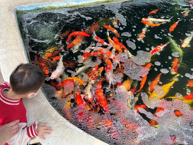 alpaca hill, camping field สวนผึ้ง, coro field, highland สวนผึ้ง, moai coffee, new land สวนผึ้ง, the camping field, the scenery vintage farm, veneto, veneto สวนผึ้ง, จุดชมวิวห้วยคอกหมู, จุดชมวิวเขากระโจม, ชิราคาวาโกะ คาเฟ่, ชิราคาวาโกะ สวนผึ้ง, ตลาดห้วยน้ำใส, ตลาดเช้าริมธาร, ตลาดเช้าริมธาร สวนผึ้ง, ตลาดโอ๊ะป่อย, ที่เที่ยวสวนผึ้ง, ที่เที่ยวสวนผึ้ง 2023, ที่เที่ยวสวนผึ้ง 2024, ที่เที่ยวสวนผึ้ง 2567, ธารน้ำร้อนบ่อคลึง, น้ำตกเก้าชั้น, น้ำตกเก้าโจน, นิวแลนด์ สวนผึ้ง, บ้านมอญห้วยน้ำใส, บ้านหอมเทียน, ราชบุรี, วอเตอร์ปาร์ค สวนผึ้ง, สวนป่าสิริกิตติ์, สวนผึ้ง, สวนผึ้งไฮแลนด์, สวนเลม่อน พสุธารา, สวนเลม่อน สวนผึ้ง, ห้วยคอกหมู, อัลปาก้า ฮิลล์, เขากระโจม, เดอะ ซีนเนอร์รี่ วินเทจ ฟาร์ม, เดอะรีสอร์ท วอเตอร์ปาร์ค, เที่ยวสวนผึ้ง, เที่ยวสวนผึ้ง 2024, เที่ยวสวนผึ้ง 2567, เวเนโต้ สวนผึ้ง, แก่งส้มแมว, โคโร่ ฟิลด์, โมไอ สวนผึ้ง, ไร่องุ่นมีสุข, ไร่องุ่นมีสุข สวนผึ้ง, top 20+ ที่เที่ยวสวนผึ้ง [กรกฎาคม 2024] สัมผัสธรรมชาติ ท่ามกลางหุบเขา จังหวัดราชบุรี