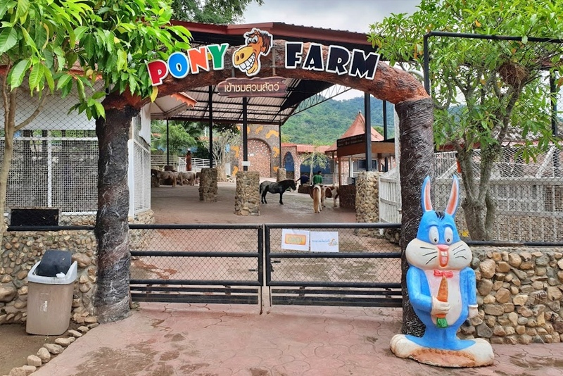 alpaca hill, camping field สวนผึ้ง, coro field, highland สวนผึ้ง, moai coffee, new land สวนผึ้ง, the camping field, the scenery vintage farm, veneto, veneto สวนผึ้ง, จุดชมวิวห้วยคอกหมู, จุดชมวิวเขากระโจม, ชิราคาวาโกะ คาเฟ่, ชิราคาวาโกะ สวนผึ้ง, ตลาดห้วยน้ำใส, ตลาดเช้าริมธาร, ตลาดเช้าริมธาร สวนผึ้ง, ตลาดโอ๊ะป่อย, ที่เที่ยวสวนผึ้ง, ที่เที่ยวสวนผึ้ง 2023, ที่เที่ยวสวนผึ้ง 2024, ที่เที่ยวสวนผึ้ง 2567, ธารน้ำร้อนบ่อคลึง, น้ำตกเก้าชั้น, น้ำตกเก้าโจน, นิวแลนด์ สวนผึ้ง, บ้านมอญห้วยน้ำใส, บ้านหอมเทียน, ราชบุรี, วอเตอร์ปาร์ค สวนผึ้ง, สวนป่าสิริกิตติ์, สวนผึ้ง, สวนผึ้งไฮแลนด์, สวนเลม่อน พสุธารา, สวนเลม่อน สวนผึ้ง, ห้วยคอกหมู, อัลปาก้า ฮิลล์, เขากระโจม, เดอะ ซีนเนอร์รี่ วินเทจ ฟาร์ม, เดอะรีสอร์ท วอเตอร์ปาร์ค, เที่ยวสวนผึ้ง, เที่ยวสวนผึ้ง 2024, เที่ยวสวนผึ้ง 2567, เวเนโต้ สวนผึ้ง, แก่งส้มแมว, โคโร่ ฟิลด์, โมไอ สวนผึ้ง, ไร่องุ่นมีสุข, ไร่องุ่นมีสุข สวนผึ้ง, top 20+ ที่เที่ยวสวนผึ้ง [กรกฎาคม 2024] สัมผัสธรรมชาติ ท่ามกลางหุบเขา จังหวัดราชบุรี