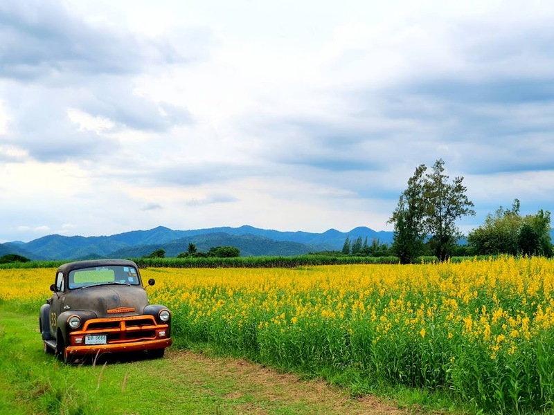 alpaca hill, camping field สวนผึ้ง, coro field, highland สวนผึ้ง, moai coffee, new land สวนผึ้ง, the camping field, the scenery vintage farm, veneto, veneto สวนผึ้ง, จุดชมวิวห้วยคอกหมู, จุดชมวิวเขากระโจม, ชิราคาวาโกะ คาเฟ่, ชิราคาวาโกะ สวนผึ้ง, ตลาดห้วยน้ำใส, ตลาดเช้าริมธาร, ตลาดเช้าริมธาร สวนผึ้ง, ตลาดโอ๊ะป่อย, ที่เที่ยวสวนผึ้ง, ที่เที่ยวสวนผึ้ง 2023, ที่เที่ยวสวนผึ้ง 2024, ที่เที่ยวสวนผึ้ง 2567, ธารน้ำร้อนบ่อคลึง, น้ำตกเก้าชั้น, น้ำตกเก้าโจน, นิวแลนด์ สวนผึ้ง, บ้านมอญห้วยน้ำใส, บ้านหอมเทียน, ราชบุรี, วอเตอร์ปาร์ค สวนผึ้ง, สวนป่าสิริกิตติ์, สวนผึ้ง, สวนผึ้งไฮแลนด์, สวนเลม่อน พสุธารา, สวนเลม่อน สวนผึ้ง, ห้วยคอกหมู, อัลปาก้า ฮิลล์, เขากระโจม, เดอะ ซีนเนอร์รี่ วินเทจ ฟาร์ม, เดอะรีสอร์ท วอเตอร์ปาร์ค, เที่ยวสวนผึ้ง, เที่ยวสวนผึ้ง 2024, เที่ยวสวนผึ้ง 2567, เวเนโต้ สวนผึ้ง, แก่งส้มแมว, โคโร่ ฟิลด์, โมไอ สวนผึ้ง, ไร่องุ่นมีสุข, ไร่องุ่นมีสุข สวนผึ้ง, top 20+ ที่เที่ยวสวนผึ้ง [กรกฎาคม 2024] สัมผัสธรรมชาติ ท่ามกลางหุบเขา จังหวัดราชบุรี