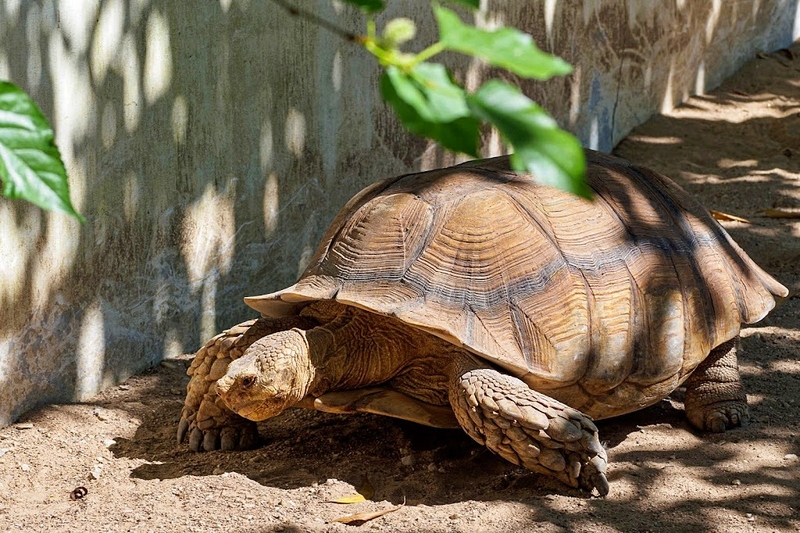 alpaca hill, camping field สวนผึ้ง, coro field, highland สวนผึ้ง, moai coffee, new land สวนผึ้ง, the camping field, the scenery vintage farm, veneto, veneto สวนผึ้ง, จุดชมวิวห้วยคอกหมู, จุดชมวิวเขากระโจม, ชิราคาวาโกะ คาเฟ่, ชิราคาวาโกะ สวนผึ้ง, ตลาดห้วยน้ำใส, ตลาดเช้าริมธาร, ตลาดเช้าริมธาร สวนผึ้ง, ตลาดโอ๊ะป่อย, ที่เที่ยวสวนผึ้ง, ที่เที่ยวสวนผึ้ง 2023, ที่เที่ยวสวนผึ้ง 2024, ที่เที่ยวสวนผึ้ง 2567, ธารน้ำร้อนบ่อคลึง, น้ำตกเก้าชั้น, น้ำตกเก้าโจน, นิวแลนด์ สวนผึ้ง, บ้านมอญห้วยน้ำใส, บ้านหอมเทียน, ราชบุรี, วอเตอร์ปาร์ค สวนผึ้ง, สวนป่าสิริกิตติ์, สวนผึ้ง, สวนผึ้งไฮแลนด์, สวนเลม่อน พสุธารา, สวนเลม่อน สวนผึ้ง, ห้วยคอกหมู, อัลปาก้า ฮิลล์, เขากระโจม, เดอะ ซีนเนอร์รี่ วินเทจ ฟาร์ม, เดอะรีสอร์ท วอเตอร์ปาร์ค, เที่ยวสวนผึ้ง, เที่ยวสวนผึ้ง 2024, เที่ยวสวนผึ้ง 2567, เวเนโต้ สวนผึ้ง, แก่งส้มแมว, โคโร่ ฟิลด์, โมไอ สวนผึ้ง, ไร่องุ่นมีสุข, ไร่องุ่นมีสุข สวนผึ้ง, top 20+ ที่เที่ยวสวนผึ้ง [กรกฎาคม 2024] สัมผัสธรรมชาติ ท่ามกลางหุบเขา จังหวัดราชบุรี