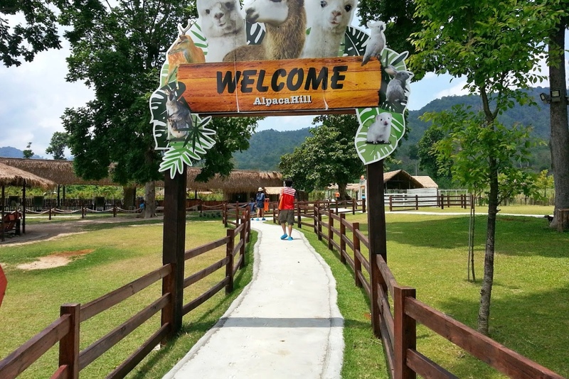 alpaca hill, camping field สวนผึ้ง, coro field, highland สวนผึ้ง, moai coffee, new land สวนผึ้ง, the camping field, the scenery vintage farm, veneto, veneto สวนผึ้ง, จุดชมวิวห้วยคอกหมู, จุดชมวิวเขากระโจม, ชิราคาวาโกะ คาเฟ่, ชิราคาวาโกะ สวนผึ้ง, ตลาดห้วยน้ำใส, ตลาดเช้าริมธาร, ตลาดเช้าริมธาร สวนผึ้ง, ตลาดโอ๊ะป่อย, ที่เที่ยวสวนผึ้ง, ที่เที่ยวสวนผึ้ง 2023, ที่เที่ยวสวนผึ้ง 2024, ที่เที่ยวสวนผึ้ง 2567, ธารน้ำร้อนบ่อคลึง, น้ำตกเก้าชั้น, น้ำตกเก้าโจน, นิวแลนด์ สวนผึ้ง, บ้านมอญห้วยน้ำใส, บ้านหอมเทียน, ราชบุรี, วอเตอร์ปาร์ค สวนผึ้ง, สวนป่าสิริกิตติ์, สวนผึ้ง, สวนผึ้งไฮแลนด์, สวนเลม่อน พสุธารา, สวนเลม่อน สวนผึ้ง, ห้วยคอกหมู, อัลปาก้า ฮิลล์, เขากระโจม, เดอะ ซีนเนอร์รี่ วินเทจ ฟาร์ม, เดอะรีสอร์ท วอเตอร์ปาร์ค, เที่ยวสวนผึ้ง, เที่ยวสวนผึ้ง 2024, เที่ยวสวนผึ้ง 2567, เวเนโต้ สวนผึ้ง, แก่งส้มแมว, โคโร่ ฟิลด์, โมไอ สวนผึ้ง, ไร่องุ่นมีสุข, ไร่องุ่นมีสุข สวนผึ้ง, top 20+ ที่เที่ยวสวนผึ้ง [กรกฎาคม 2024] สัมผัสธรรมชาติ ท่ามกลางหุบเขา จังหวัดราชบุรี