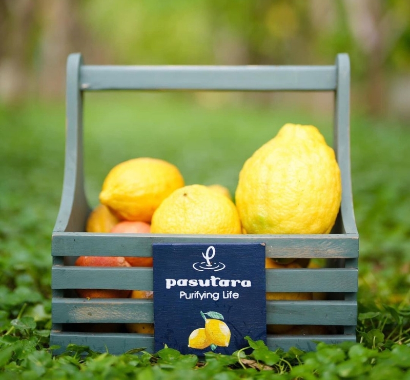 alpaca hill, camping field สวนผึ้ง, coro field, highland สวนผึ้ง, moai coffee, new land สวนผึ้ง, the camping field, the scenery vintage farm, veneto, veneto สวนผึ้ง, จุดชมวิวห้วยคอกหมู, จุดชมวิวเขากระโจม, ชิราคาวาโกะ คาเฟ่, ชิราคาวาโกะ สวนผึ้ง, ตลาดห้วยน้ำใส, ตลาดเช้าริมธาร, ตลาดเช้าริมธาร สวนผึ้ง, ตลาดโอ๊ะป่อย, ที่เที่ยวสวนผึ้ง, ที่เที่ยวสวนผึ้ง 2023, ที่เที่ยวสวนผึ้ง 2024, ที่เที่ยวสวนผึ้ง 2567, ธารน้ำร้อนบ่อคลึง, น้ำตกเก้าชั้น, น้ำตกเก้าโจน, นิวแลนด์ สวนผึ้ง, บ้านมอญห้วยน้ำใส, บ้านหอมเทียน, ราชบุรี, วอเตอร์ปาร์ค สวนผึ้ง, สวนป่าสิริกิตติ์, สวนผึ้ง, สวนผึ้งไฮแลนด์, สวนเลม่อน พสุธารา, สวนเลม่อน สวนผึ้ง, ห้วยคอกหมู, อัลปาก้า ฮิลล์, เขากระโจม, เดอะ ซีนเนอร์รี่ วินเทจ ฟาร์ม, เดอะรีสอร์ท วอเตอร์ปาร์ค, เที่ยวสวนผึ้ง, เที่ยวสวนผึ้ง 2024, เที่ยวสวนผึ้ง 2567, เวเนโต้ สวนผึ้ง, แก่งส้มแมว, โคโร่ ฟิลด์, โมไอ สวนผึ้ง, ไร่องุ่นมีสุข, ไร่องุ่นมีสุข สวนผึ้ง, top 20+ ที่เที่ยวสวนผึ้ง [กรกฎาคม 2024] สัมผัสธรรมชาติ ท่ามกลางหุบเขา จังหวัดราชบุรี