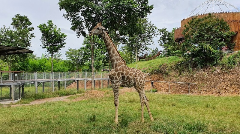 alpaca hill, camping field สวนผึ้ง, coro field, highland สวนผึ้ง, moai coffee, new land สวนผึ้ง, the camping field, the scenery vintage farm, veneto, veneto สวนผึ้ง, จุดชมวิวห้วยคอกหมู, จุดชมวิวเขากระโจม, ชิราคาวาโกะ คาเฟ่, ชิราคาวาโกะ สวนผึ้ง, ตลาดห้วยน้ำใส, ตลาดเช้าริมธาร, ตลาดเช้าริมธาร สวนผึ้ง, ตลาดโอ๊ะป่อย, ที่เที่ยวสวนผึ้ง, ที่เที่ยวสวนผึ้ง 2023, ที่เที่ยวสวนผึ้ง 2024, ที่เที่ยวสวนผึ้ง 2567, ธารน้ำร้อนบ่อคลึง, น้ำตกเก้าชั้น, น้ำตกเก้าโจน, นิวแลนด์ สวนผึ้ง, บ้านมอญห้วยน้ำใส, บ้านหอมเทียน, ราชบุรี, วอเตอร์ปาร์ค สวนผึ้ง, สวนป่าสิริกิตติ์, สวนผึ้ง, สวนผึ้งไฮแลนด์, สวนเลม่อน พสุธารา, สวนเลม่อน สวนผึ้ง, ห้วยคอกหมู, อัลปาก้า ฮิลล์, เขากระโจม, เดอะ ซีนเนอร์รี่ วินเทจ ฟาร์ม, เดอะรีสอร์ท วอเตอร์ปาร์ค, เที่ยวสวนผึ้ง, เที่ยวสวนผึ้ง 2024, เที่ยวสวนผึ้ง 2567, เวเนโต้ สวนผึ้ง, แก่งส้มแมว, โคโร่ ฟิลด์, โมไอ สวนผึ้ง, ไร่องุ่นมีสุข, ไร่องุ่นมีสุข สวนผึ้ง, top 20+ ที่เที่ยวสวนผึ้ง [กรกฎาคม 2024] สัมผัสธรรมชาติ ท่ามกลางหุบเขา จังหวัดราชบุรี
