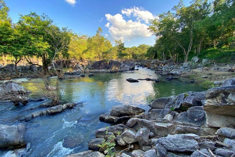 alpaca hill, camping field สวนผึ้ง, coro field, highland สวนผึ้ง, moai coffee, new land สวนผึ้ง, the camping field, the scenery vintage farm, veneto, veneto สวนผึ้ง, จุดชมวิวห้วยคอกหมู, จุดชมวิวเขากระโจม, ชิราคาวาโกะ คาเฟ่, ชิราคาวาโกะ สวนผึ้ง, ตลาดห้วยน้ำใส, ตลาดเช้าริมธาร, ตลาดเช้าริมธาร สวนผึ้ง, ตลาดโอ๊ะป่อย, ที่เที่ยวสวนผึ้ง, ที่เที่ยวสวนผึ้ง 2023, ที่เที่ยวสวนผึ้ง 2024, ที่เที่ยวสวนผึ้ง 2567, ธารน้ำร้อนบ่อคลึง, น้ำตกเก้าชั้น, น้ำตกเก้าโจน, นิวแลนด์ สวนผึ้ง, บ้านมอญห้วยน้ำใส, บ้านหอมเทียน, ราชบุรี, วอเตอร์ปาร์ค สวนผึ้ง, สวนป่าสิริกิตติ์, สวนผึ้ง, สวนผึ้งไฮแลนด์, สวนเลม่อน พสุธารา, สวนเลม่อน สวนผึ้ง, ห้วยคอกหมู, อัลปาก้า ฮิลล์, เขากระโจม, เดอะ ซีนเนอร์รี่ วินเทจ ฟาร์ม, เดอะรีสอร์ท วอเตอร์ปาร์ค, เที่ยวสวนผึ้ง, เที่ยวสวนผึ้ง 2024, เที่ยวสวนผึ้ง 2567, เวเนโต้ สวนผึ้ง, แก่งส้มแมว, โคโร่ ฟิลด์, โมไอ สวนผึ้ง, ไร่องุ่นมีสุข, ไร่องุ่นมีสุข สวนผึ้ง, top 20+ ที่เที่ยวสวนผึ้ง [กรกฎาคม 2024] สัมผัสธรรมชาติ ท่ามกลางหุบเขา จังหวัดราชบุรี