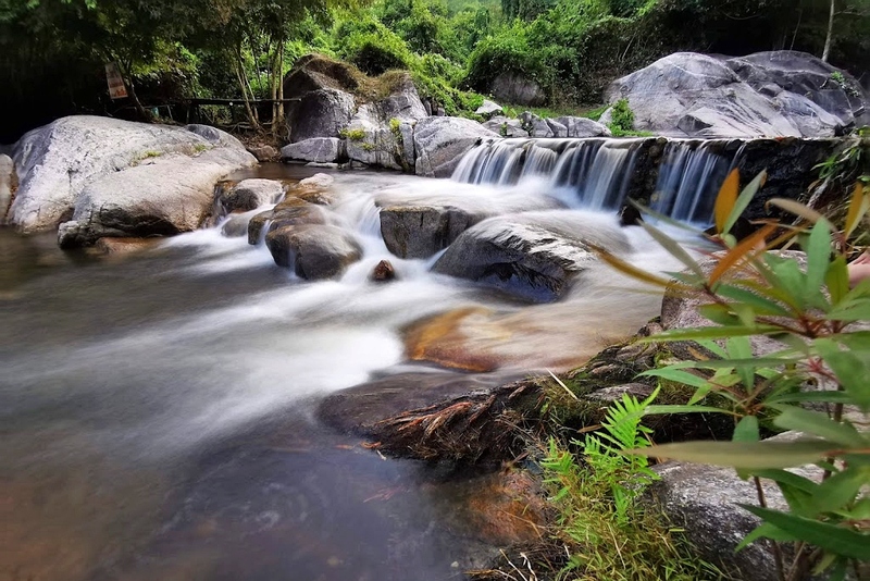 alpaca hill, camping field สวนผึ้ง, coro field, highland สวนผึ้ง, moai coffee, new land สวนผึ้ง, the camping field, the scenery vintage farm, veneto, veneto สวนผึ้ง, จุดชมวิวห้วยคอกหมู, จุดชมวิวเขากระโจม, ชิราคาวาโกะ คาเฟ่, ชิราคาวาโกะ สวนผึ้ง, ตลาดห้วยน้ำใส, ตลาดเช้าริมธาร, ตลาดเช้าริมธาร สวนผึ้ง, ตลาดโอ๊ะป่อย, ที่เที่ยวสวนผึ้ง, ที่เที่ยวสวนผึ้ง 2023, ที่เที่ยวสวนผึ้ง 2024, ที่เที่ยวสวนผึ้ง 2567, ธารน้ำร้อนบ่อคลึง, น้ำตกเก้าชั้น, น้ำตกเก้าโจน, นิวแลนด์ สวนผึ้ง, บ้านมอญห้วยน้ำใส, บ้านหอมเทียน, ราชบุรี, วอเตอร์ปาร์ค สวนผึ้ง, สวนป่าสิริกิตติ์, สวนผึ้ง, สวนผึ้งไฮแลนด์, สวนเลม่อน พสุธารา, สวนเลม่อน สวนผึ้ง, ห้วยคอกหมู, อัลปาก้า ฮิลล์, เขากระโจม, เดอะ ซีนเนอร์รี่ วินเทจ ฟาร์ม, เดอะรีสอร์ท วอเตอร์ปาร์ค, เที่ยวสวนผึ้ง, เที่ยวสวนผึ้ง 2024, เที่ยวสวนผึ้ง 2567, เวเนโต้ สวนผึ้ง, แก่งส้มแมว, โคโร่ ฟิลด์, โมไอ สวนผึ้ง, ไร่องุ่นมีสุข, ไร่องุ่นมีสุข สวนผึ้ง, top 20+ ที่เที่ยวสวนผึ้ง [กรกฎาคม 2024] สัมผัสธรรมชาติ ท่ามกลางหุบเขา จังหวัดราชบุรี