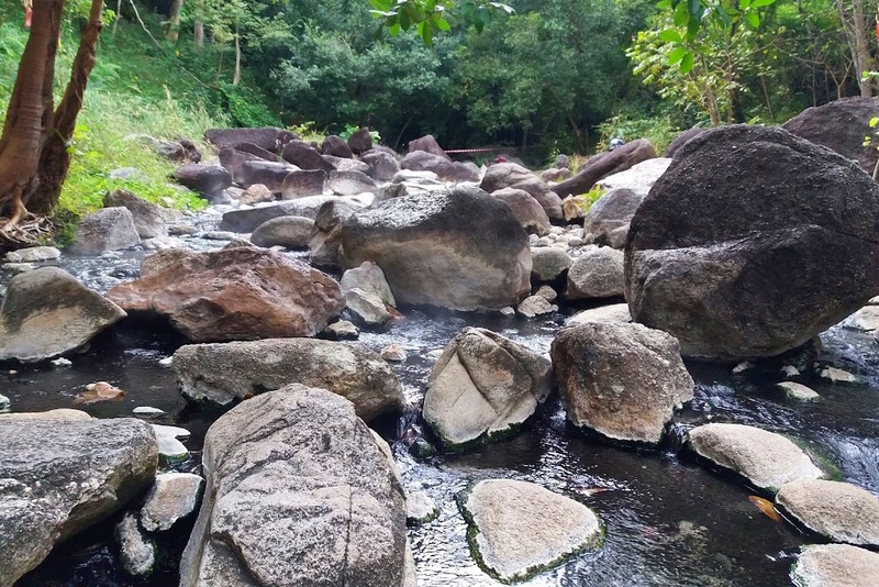 alpaca hill, camping field สวนผึ้ง, coro field, highland สวนผึ้ง, moai coffee, new land สวนผึ้ง, the camping field, the scenery vintage farm, veneto, veneto สวนผึ้ง, จุดชมวิวห้วยคอกหมู, จุดชมวิวเขากระโจม, ชิราคาวาโกะ คาเฟ่, ชิราคาวาโกะ สวนผึ้ง, ตลาดห้วยน้ำใส, ตลาดเช้าริมธาร, ตลาดเช้าริมธาร สวนผึ้ง, ตลาดโอ๊ะป่อย, ที่เที่ยวสวนผึ้ง, ที่เที่ยวสวนผึ้ง 2023, ที่เที่ยวสวนผึ้ง 2024, ที่เที่ยวสวนผึ้ง 2567, ธารน้ำร้อนบ่อคลึง, น้ำตกเก้าชั้น, น้ำตกเก้าโจน, นิวแลนด์ สวนผึ้ง, บ้านมอญห้วยน้ำใส, บ้านหอมเทียน, ราชบุรี, วอเตอร์ปาร์ค สวนผึ้ง, สวนป่าสิริกิตติ์, สวนผึ้ง, สวนผึ้งไฮแลนด์, สวนเลม่อน พสุธารา, สวนเลม่อน สวนผึ้ง, ห้วยคอกหมู, อัลปาก้า ฮิลล์, เขากระโจม, เดอะ ซีนเนอร์รี่ วินเทจ ฟาร์ม, เดอะรีสอร์ท วอเตอร์ปาร์ค, เที่ยวสวนผึ้ง, เที่ยวสวนผึ้ง 2024, เที่ยวสวนผึ้ง 2567, เวเนโต้ สวนผึ้ง, แก่งส้มแมว, โคโร่ ฟิลด์, โมไอ สวนผึ้ง, ไร่องุ่นมีสุข, ไร่องุ่นมีสุข สวนผึ้ง, top 20+ ที่เที่ยวสวนผึ้ง [กรกฎาคม 2024] สัมผัสธรรมชาติ ท่ามกลางหุบเขา จังหวัดราชบุรี