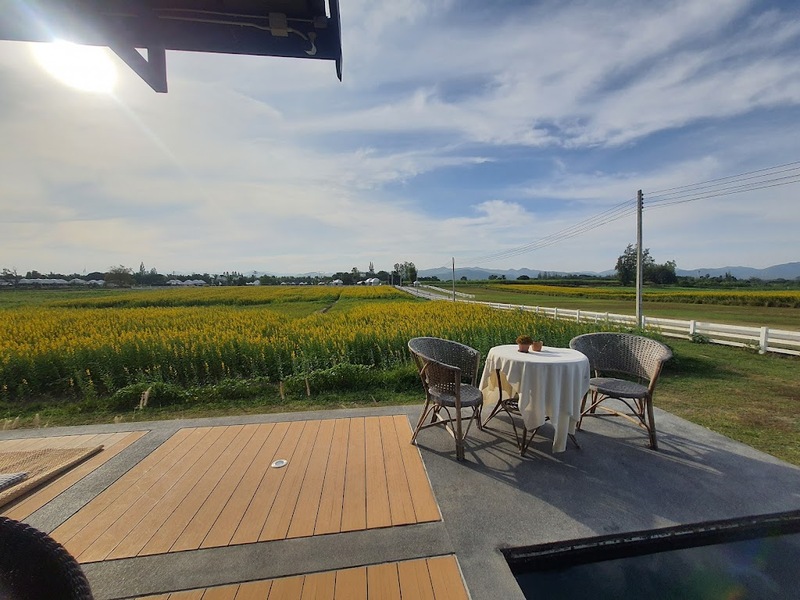 alpaca hill, camping field สวนผึ้ง, coro field, highland สวนผึ้ง, moai coffee, new land สวนผึ้ง, the camping field, the scenery vintage farm, veneto, veneto สวนผึ้ง, จุดชมวิวห้วยคอกหมู, จุดชมวิวเขากระโจม, ชิราคาวาโกะ คาเฟ่, ชิราคาวาโกะ สวนผึ้ง, ตลาดห้วยน้ำใส, ตลาดเช้าริมธาร, ตลาดเช้าริมธาร สวนผึ้ง, ตลาดโอ๊ะป่อย, ที่เที่ยวสวนผึ้ง, ที่เที่ยวสวนผึ้ง 2023, ที่เที่ยวสวนผึ้ง 2024, ที่เที่ยวสวนผึ้ง 2567, ธารน้ำร้อนบ่อคลึง, น้ำตกเก้าชั้น, น้ำตกเก้าโจน, นิวแลนด์ สวนผึ้ง, บ้านมอญห้วยน้ำใส, บ้านหอมเทียน, ราชบุรี, วอเตอร์ปาร์ค สวนผึ้ง, สวนป่าสิริกิตติ์, สวนผึ้ง, สวนผึ้งไฮแลนด์, สวนเลม่อน พสุธารา, สวนเลม่อน สวนผึ้ง, ห้วยคอกหมู, อัลปาก้า ฮิลล์, เขากระโจม, เดอะ ซีนเนอร์รี่ วินเทจ ฟาร์ม, เดอะรีสอร์ท วอเตอร์ปาร์ค, เที่ยวสวนผึ้ง, เที่ยวสวนผึ้ง 2024, เที่ยวสวนผึ้ง 2567, เวเนโต้ สวนผึ้ง, แก่งส้มแมว, โคโร่ ฟิลด์, โมไอ สวนผึ้ง, ไร่องุ่นมีสุข, ไร่องุ่นมีสุข สวนผึ้ง, top 20+ ที่เที่ยวสวนผึ้ง [กรกฎาคม 2024] สัมผัสธรรมชาติ ท่ามกลางหุบเขา จังหวัดราชบุรี