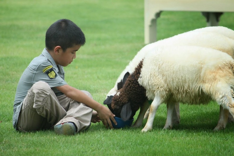 alpaca hill, camping field สวนผึ้ง, coro field, highland สวนผึ้ง, moai coffee, new land สวนผึ้ง, the camping field, the scenery vintage farm, veneto, veneto สวนผึ้ง, จุดชมวิวห้วยคอกหมู, จุดชมวิวเขากระโจม, ชิราคาวาโกะ คาเฟ่, ชิราคาวาโกะ สวนผึ้ง, ตลาดห้วยน้ำใส, ตลาดเช้าริมธาร, ตลาดเช้าริมธาร สวนผึ้ง, ตลาดโอ๊ะป่อย, ที่เที่ยวสวนผึ้ง, ที่เที่ยวสวนผึ้ง 2023, ที่เที่ยวสวนผึ้ง 2024, ที่เที่ยวสวนผึ้ง 2567, ธารน้ำร้อนบ่อคลึง, น้ำตกเก้าชั้น, น้ำตกเก้าโจน, นิวแลนด์ สวนผึ้ง, บ้านมอญห้วยน้ำใส, บ้านหอมเทียน, ราชบุรี, วอเตอร์ปาร์ค สวนผึ้ง, สวนป่าสิริกิตติ์, สวนผึ้ง, สวนผึ้งไฮแลนด์, สวนเลม่อน พสุธารา, สวนเลม่อน สวนผึ้ง, ห้วยคอกหมู, อัลปาก้า ฮิลล์, เขากระโจม, เดอะ ซีนเนอร์รี่ วินเทจ ฟาร์ม, เดอะรีสอร์ท วอเตอร์ปาร์ค, เที่ยวสวนผึ้ง, เที่ยวสวนผึ้ง 2024, เที่ยวสวนผึ้ง 2567, เวเนโต้ สวนผึ้ง, แก่งส้มแมว, โคโร่ ฟิลด์, โมไอ สวนผึ้ง, ไร่องุ่นมีสุข, ไร่องุ่นมีสุข สวนผึ้ง, top 20+ ที่เที่ยวสวนผึ้ง [กรกฎาคม 2024] สัมผัสธรรมชาติ ท่ามกลางหุบเขา จังหวัดราชบุรี