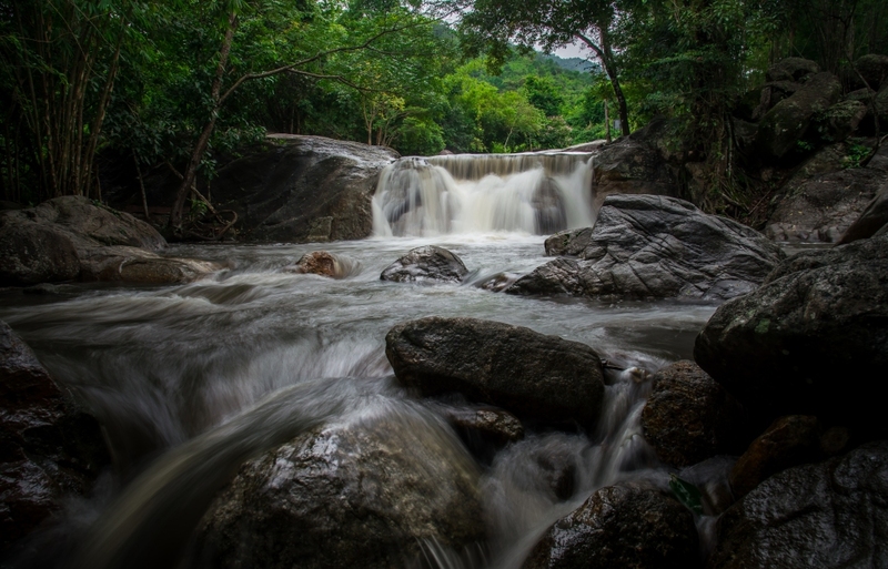 alpaca hill, camping field สวนผึ้ง, coro field, highland สวนผึ้ง, moai coffee, new land สวนผึ้ง, the camping field, the scenery vintage farm, veneto, veneto สวนผึ้ง, จุดชมวิวห้วยคอกหมู, จุดชมวิวเขากระโจม, ชิราคาวาโกะ คาเฟ่, ชิราคาวาโกะ สวนผึ้ง, ตลาดห้วยน้ำใส, ตลาดเช้าริมธาร, ตลาดเช้าริมธาร สวนผึ้ง, ตลาดโอ๊ะป่อย, ที่เที่ยวสวนผึ้ง, ที่เที่ยวสวนผึ้ง 2023, ที่เที่ยวสวนผึ้ง 2024, ที่เที่ยวสวนผึ้ง 2567, ธารน้ำร้อนบ่อคลึง, น้ำตกเก้าชั้น, น้ำตกเก้าโจน, นิวแลนด์ สวนผึ้ง, บ้านมอญห้วยน้ำใส, บ้านหอมเทียน, ราชบุรี, วอเตอร์ปาร์ค สวนผึ้ง, สวนป่าสิริกิตติ์, สวนผึ้ง, สวนผึ้งไฮแลนด์, สวนเลม่อน พสุธารา, สวนเลม่อน สวนผึ้ง, ห้วยคอกหมู, อัลปาก้า ฮิลล์, เขากระโจม, เดอะ ซีนเนอร์รี่ วินเทจ ฟาร์ม, เดอะรีสอร์ท วอเตอร์ปาร์ค, เที่ยวสวนผึ้ง, เที่ยวสวนผึ้ง 2024, เที่ยวสวนผึ้ง 2567, เวเนโต้ สวนผึ้ง, แก่งส้มแมว, โคโร่ ฟิลด์, โมไอ สวนผึ้ง, ไร่องุ่นมีสุข, ไร่องุ่นมีสุข สวนผึ้ง, top 20+ ที่เที่ยวสวนผึ้ง [กรกฎาคม 2024] สัมผัสธรรมชาติ ท่ามกลางหุบเขา จังหวัดราชบุรี