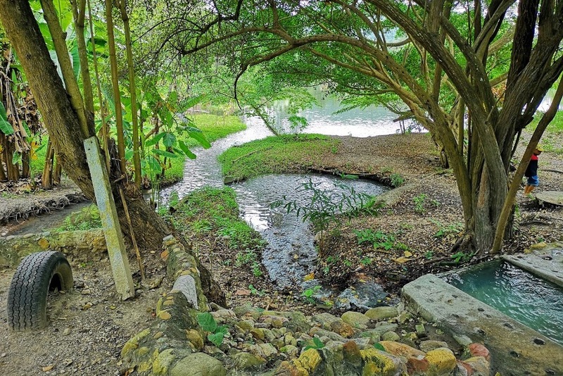 alpaca hill, camping field สวนผึ้ง, coro field, highland สวนผึ้ง, moai coffee, new land สวนผึ้ง, the camping field, the scenery vintage farm, veneto, veneto สวนผึ้ง, จุดชมวิวห้วยคอกหมู, จุดชมวิวเขากระโจม, ชิราคาวาโกะ คาเฟ่, ชิราคาวาโกะ สวนผึ้ง, ตลาดห้วยน้ำใส, ตลาดเช้าริมธาร, ตลาดเช้าริมธาร สวนผึ้ง, ตลาดโอ๊ะป่อย, ที่เที่ยวสวนผึ้ง, ที่เที่ยวสวนผึ้ง 2023, ที่เที่ยวสวนผึ้ง 2024, ที่เที่ยวสวนผึ้ง 2567, ธารน้ำร้อนบ่อคลึง, น้ำตกเก้าชั้น, น้ำตกเก้าโจน, นิวแลนด์ สวนผึ้ง, บ้านมอญห้วยน้ำใส, บ้านหอมเทียน, ราชบุรี, วอเตอร์ปาร์ค สวนผึ้ง, สวนป่าสิริกิตติ์, สวนผึ้ง, สวนผึ้งไฮแลนด์, สวนเลม่อน พสุธารา, สวนเลม่อน สวนผึ้ง, ห้วยคอกหมู, อัลปาก้า ฮิลล์, เขากระโจม, เดอะ ซีนเนอร์รี่ วินเทจ ฟาร์ม, เดอะรีสอร์ท วอเตอร์ปาร์ค, เที่ยวสวนผึ้ง, เที่ยวสวนผึ้ง 2024, เที่ยวสวนผึ้ง 2567, เวเนโต้ สวนผึ้ง, แก่งส้มแมว, โคโร่ ฟิลด์, โมไอ สวนผึ้ง, ไร่องุ่นมีสุข, ไร่องุ่นมีสุข สวนผึ้ง, top 20+ ที่เที่ยวสวนผึ้ง [กรกฎาคม 2024] สัมผัสธรรมชาติ ท่ามกลางหุบเขา จังหวัดราชบุรี