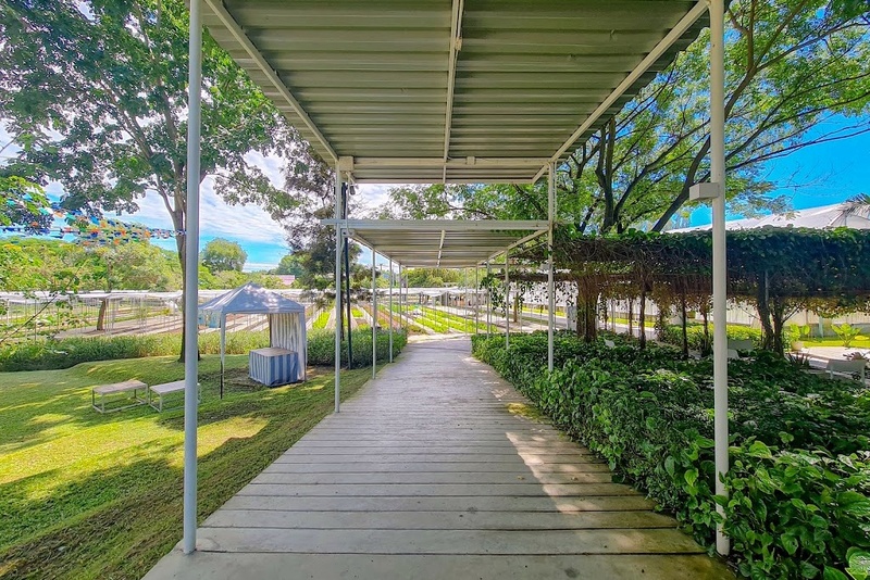 alpaca hill, camping field สวนผึ้ง, coro field, highland สวนผึ้ง, moai coffee, new land สวนผึ้ง, the camping field, the scenery vintage farm, veneto, veneto สวนผึ้ง, จุดชมวิวห้วยคอกหมู, จุดชมวิวเขากระโจม, ชิราคาวาโกะ คาเฟ่, ชิราคาวาโกะ สวนผึ้ง, ตลาดห้วยน้ำใส, ตลาดเช้าริมธาร, ตลาดเช้าริมธาร สวนผึ้ง, ตลาดโอ๊ะป่อย, ที่เที่ยวสวนผึ้ง, ที่เที่ยวสวนผึ้ง 2023, ที่เที่ยวสวนผึ้ง 2024, ที่เที่ยวสวนผึ้ง 2567, ธารน้ำร้อนบ่อคลึง, น้ำตกเก้าชั้น, น้ำตกเก้าโจน, นิวแลนด์ สวนผึ้ง, บ้านมอญห้วยน้ำใส, บ้านหอมเทียน, ราชบุรี, วอเตอร์ปาร์ค สวนผึ้ง, สวนป่าสิริกิตติ์, สวนผึ้ง, สวนผึ้งไฮแลนด์, สวนเลม่อน พสุธารา, สวนเลม่อน สวนผึ้ง, ห้วยคอกหมู, อัลปาก้า ฮิลล์, เขากระโจม, เดอะ ซีนเนอร์รี่ วินเทจ ฟาร์ม, เดอะรีสอร์ท วอเตอร์ปาร์ค, เที่ยวสวนผึ้ง, เที่ยวสวนผึ้ง 2024, เที่ยวสวนผึ้ง 2567, เวเนโต้ สวนผึ้ง, แก่งส้มแมว, โคโร่ ฟิลด์, โมไอ สวนผึ้ง, ไร่องุ่นมีสุข, ไร่องุ่นมีสุข สวนผึ้ง, top 20+ ที่เที่ยวสวนผึ้ง [กรกฎาคม 2024] สัมผัสธรรมชาติ ท่ามกลางหุบเขา จังหวัดราชบุรี