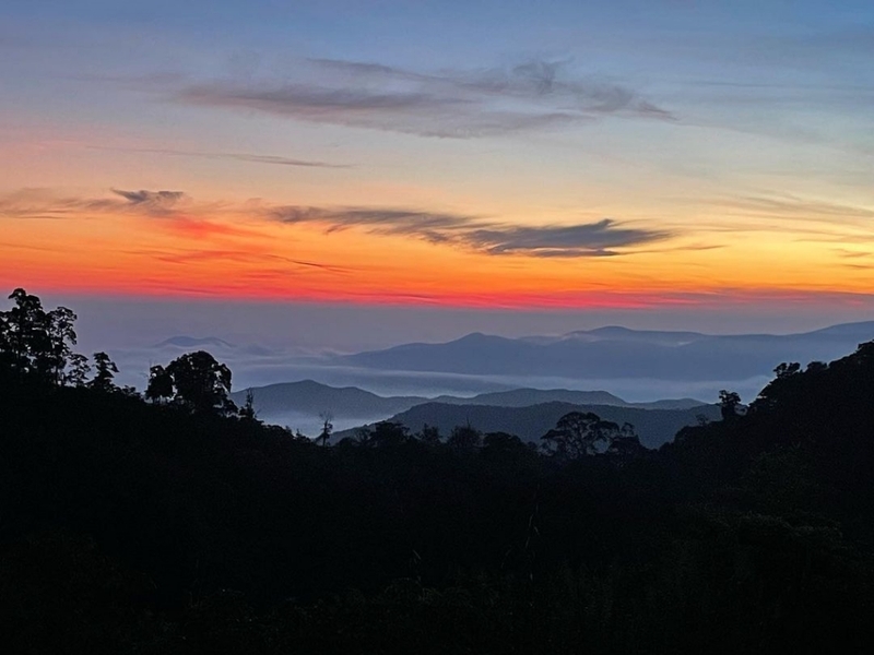 alpaca hill, camping field สวนผึ้ง, coro field, highland สวนผึ้ง, moai coffee, new land สวนผึ้ง, the camping field, the scenery vintage farm, veneto, veneto สวนผึ้ง, จุดชมวิวห้วยคอกหมู, จุดชมวิวเขากระโจม, ชิราคาวาโกะ คาเฟ่, ชิราคาวาโกะ สวนผึ้ง, ตลาดห้วยน้ำใส, ตลาดเช้าริมธาร, ตลาดเช้าริมธาร สวนผึ้ง, ตลาดโอ๊ะป่อย, ที่เที่ยวสวนผึ้ง, ที่เที่ยวสวนผึ้ง 2023, ที่เที่ยวสวนผึ้ง 2024, ที่เที่ยวสวนผึ้ง 2567, ธารน้ำร้อนบ่อคลึง, น้ำตกเก้าชั้น, น้ำตกเก้าโจน, นิวแลนด์ สวนผึ้ง, บ้านมอญห้วยน้ำใส, บ้านหอมเทียน, ราชบุรี, วอเตอร์ปาร์ค สวนผึ้ง, สวนป่าสิริกิตติ์, สวนผึ้ง, สวนผึ้งไฮแลนด์, สวนเลม่อน พสุธารา, สวนเลม่อน สวนผึ้ง, ห้วยคอกหมู, อัลปาก้า ฮิลล์, เขากระโจม, เดอะ ซีนเนอร์รี่ วินเทจ ฟาร์ม, เดอะรีสอร์ท วอเตอร์ปาร์ค, เที่ยวสวนผึ้ง, เที่ยวสวนผึ้ง 2024, เที่ยวสวนผึ้ง 2567, เวเนโต้ สวนผึ้ง, แก่งส้มแมว, โคโร่ ฟิลด์, โมไอ สวนผึ้ง, ไร่องุ่นมีสุข, ไร่องุ่นมีสุข สวนผึ้ง, top 20+ ที่เที่ยวสวนผึ้ง [กรกฎาคม 2024] สัมผัสธรรมชาติ ท่ามกลางหุบเขา จังหวัดราชบุรี