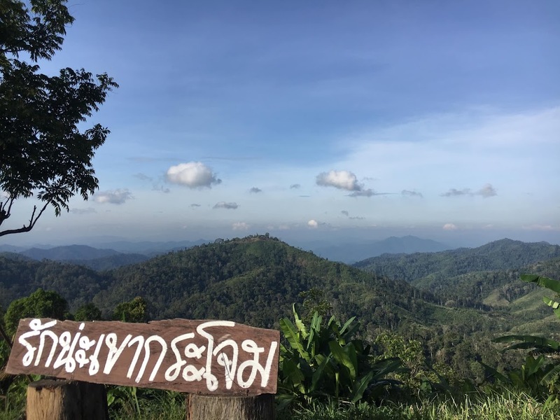 alpaca hill, camping field สวนผึ้ง, coro field, highland สวนผึ้ง, moai coffee, new land สวนผึ้ง, the camping field, the scenery vintage farm, veneto, veneto สวนผึ้ง, จุดชมวิวห้วยคอกหมู, จุดชมวิวเขากระโจม, ชิราคาวาโกะ คาเฟ่, ชิราคาวาโกะ สวนผึ้ง, ตลาดห้วยน้ำใส, ตลาดเช้าริมธาร, ตลาดเช้าริมธาร สวนผึ้ง, ตลาดโอ๊ะป่อย, ที่เที่ยวสวนผึ้ง, ที่เที่ยวสวนผึ้ง 2023, ที่เที่ยวสวนผึ้ง 2024, ที่เที่ยวสวนผึ้ง 2567, ธารน้ำร้อนบ่อคลึง, น้ำตกเก้าชั้น, น้ำตกเก้าโจน, นิวแลนด์ สวนผึ้ง, บ้านมอญห้วยน้ำใส, บ้านหอมเทียน, ราชบุรี, วอเตอร์ปาร์ค สวนผึ้ง, สวนป่าสิริกิตติ์, สวนผึ้ง, สวนผึ้งไฮแลนด์, สวนเลม่อน พสุธารา, สวนเลม่อน สวนผึ้ง, ห้วยคอกหมู, อัลปาก้า ฮิลล์, เขากระโจม, เดอะ ซีนเนอร์รี่ วินเทจ ฟาร์ม, เดอะรีสอร์ท วอเตอร์ปาร์ค, เที่ยวสวนผึ้ง, เที่ยวสวนผึ้ง 2024, เที่ยวสวนผึ้ง 2567, เวเนโต้ สวนผึ้ง, แก่งส้มแมว, โคโร่ ฟิลด์, โมไอ สวนผึ้ง, ไร่องุ่นมีสุข, ไร่องุ่นมีสุข สวนผึ้ง, top 20+ ที่เที่ยวสวนผึ้ง [กรกฎาคม 2024] สัมผัสธรรมชาติ ท่ามกลางหุบเขา จังหวัดราชบุรี