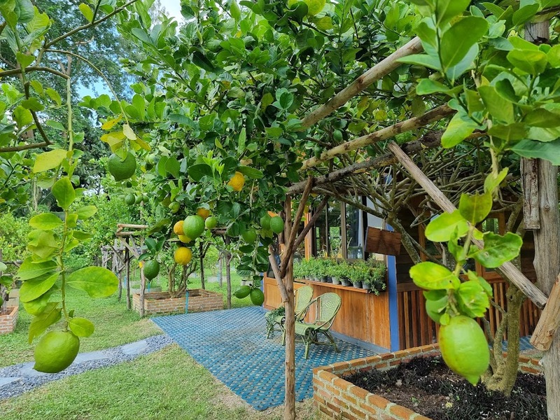 alpaca hill, camping field สวนผึ้ง, coro field, highland สวนผึ้ง, moai coffee, new land สวนผึ้ง, the camping field, the scenery vintage farm, veneto, veneto สวนผึ้ง, จุดชมวิวห้วยคอกหมู, จุดชมวิวเขากระโจม, ชิราคาวาโกะ คาเฟ่, ชิราคาวาโกะ สวนผึ้ง, ตลาดห้วยน้ำใส, ตลาดเช้าริมธาร, ตลาดเช้าริมธาร สวนผึ้ง, ตลาดโอ๊ะป่อย, ที่เที่ยวสวนผึ้ง, ที่เที่ยวสวนผึ้ง 2023, ที่เที่ยวสวนผึ้ง 2024, ที่เที่ยวสวนผึ้ง 2567, ธารน้ำร้อนบ่อคลึง, น้ำตกเก้าชั้น, น้ำตกเก้าโจน, นิวแลนด์ สวนผึ้ง, บ้านมอญห้วยน้ำใส, บ้านหอมเทียน, ราชบุรี, วอเตอร์ปาร์ค สวนผึ้ง, สวนป่าสิริกิตติ์, สวนผึ้ง, สวนผึ้งไฮแลนด์, สวนเลม่อน พสุธารา, สวนเลม่อน สวนผึ้ง, ห้วยคอกหมู, อัลปาก้า ฮิลล์, เขากระโจม, เดอะ ซีนเนอร์รี่ วินเทจ ฟาร์ม, เดอะรีสอร์ท วอเตอร์ปาร์ค, เที่ยวสวนผึ้ง, เที่ยวสวนผึ้ง 2024, เที่ยวสวนผึ้ง 2567, เวเนโต้ สวนผึ้ง, แก่งส้มแมว, โคโร่ ฟิลด์, โมไอ สวนผึ้ง, ไร่องุ่นมีสุข, ไร่องุ่นมีสุข สวนผึ้ง, top 20+ ที่เที่ยวสวนผึ้ง [กรกฎาคม 2024] สัมผัสธรรมชาติ ท่ามกลางหุบเขา จังหวัดราชบุรี