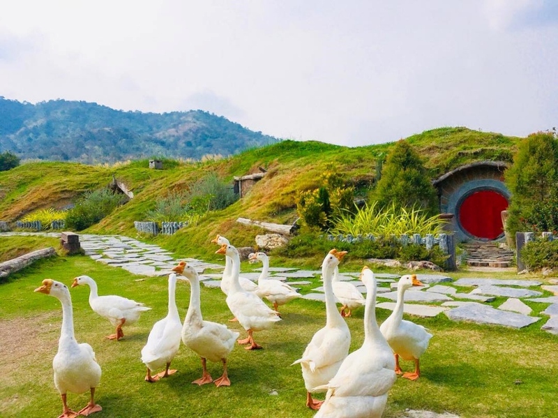 alpaca hill, camping field สวนผึ้ง, coro field, highland สวนผึ้ง, moai coffee, new land สวนผึ้ง, the camping field, the scenery vintage farm, veneto, veneto สวนผึ้ง, จุดชมวิวห้วยคอกหมู, จุดชมวิวเขากระโจม, ชิราคาวาโกะ คาเฟ่, ชิราคาวาโกะ สวนผึ้ง, ตลาดห้วยน้ำใส, ตลาดเช้าริมธาร, ตลาดเช้าริมธาร สวนผึ้ง, ตลาดโอ๊ะป่อย, ที่เที่ยวสวนผึ้ง, ที่เที่ยวสวนผึ้ง 2023, ที่เที่ยวสวนผึ้ง 2024, ที่เที่ยวสวนผึ้ง 2567, ธารน้ำร้อนบ่อคลึง, น้ำตกเก้าชั้น, น้ำตกเก้าโจน, นิวแลนด์ สวนผึ้ง, บ้านมอญห้วยน้ำใส, บ้านหอมเทียน, ราชบุรี, วอเตอร์ปาร์ค สวนผึ้ง, สวนป่าสิริกิตติ์, สวนผึ้ง, สวนผึ้งไฮแลนด์, สวนเลม่อน พสุธารา, สวนเลม่อน สวนผึ้ง, ห้วยคอกหมู, อัลปาก้า ฮิลล์, เขากระโจม, เดอะ ซีนเนอร์รี่ วินเทจ ฟาร์ม, เดอะรีสอร์ท วอเตอร์ปาร์ค, เที่ยวสวนผึ้ง, เที่ยวสวนผึ้ง 2024, เที่ยวสวนผึ้ง 2567, เวเนโต้ สวนผึ้ง, แก่งส้มแมว, โคโร่ ฟิลด์, โมไอ สวนผึ้ง, ไร่องุ่นมีสุข, ไร่องุ่นมีสุข สวนผึ้ง, top 20+ ที่เที่ยวสวนผึ้ง [กรกฎาคม 2024] สัมผัสธรรมชาติ ท่ามกลางหุบเขา จังหวัดราชบุรี