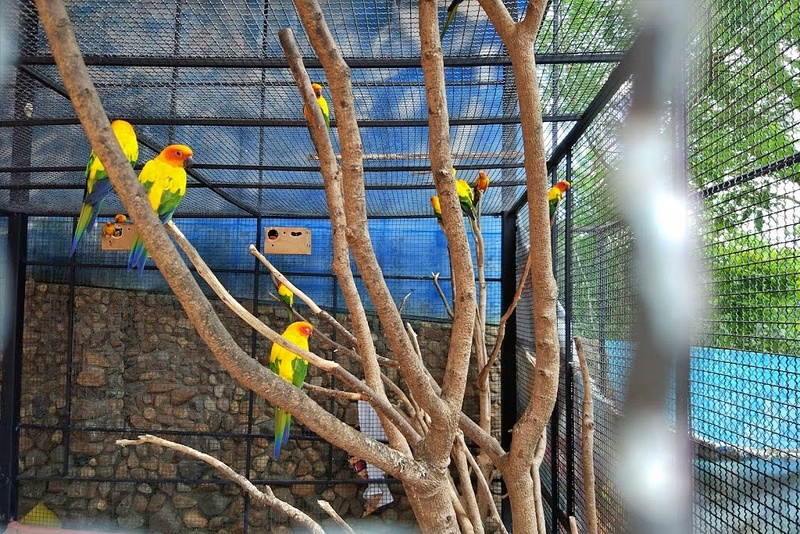 alpaca hill, camping field สวนผึ้ง, coro field, highland สวนผึ้ง, moai coffee, new land สวนผึ้ง, the camping field, the scenery vintage farm, veneto, veneto สวนผึ้ง, จุดชมวิวห้วยคอกหมู, จุดชมวิวเขากระโจม, ชิราคาวาโกะ คาเฟ่, ชิราคาวาโกะ สวนผึ้ง, ตลาดห้วยน้ำใส, ตลาดเช้าริมธาร, ตลาดเช้าริมธาร สวนผึ้ง, ตลาดโอ๊ะป่อย, ที่เที่ยวสวนผึ้ง, ที่เที่ยวสวนผึ้ง 2023, ที่เที่ยวสวนผึ้ง 2024, ที่เที่ยวสวนผึ้ง 2567, ธารน้ำร้อนบ่อคลึง, น้ำตกเก้าชั้น, น้ำตกเก้าโจน, นิวแลนด์ สวนผึ้ง, บ้านมอญห้วยน้ำใส, บ้านหอมเทียน, ราชบุรี, วอเตอร์ปาร์ค สวนผึ้ง, สวนป่าสิริกิตติ์, สวนผึ้ง, สวนผึ้งไฮแลนด์, สวนเลม่อน พสุธารา, สวนเลม่อน สวนผึ้ง, ห้วยคอกหมู, อัลปาก้า ฮิลล์, เขากระโจม, เดอะ ซีนเนอร์รี่ วินเทจ ฟาร์ม, เดอะรีสอร์ท วอเตอร์ปาร์ค, เที่ยวสวนผึ้ง, เที่ยวสวนผึ้ง 2024, เที่ยวสวนผึ้ง 2567, เวเนโต้ สวนผึ้ง, แก่งส้มแมว, โคโร่ ฟิลด์, โมไอ สวนผึ้ง, ไร่องุ่นมีสุข, ไร่องุ่นมีสุข สวนผึ้ง, top 20+ ที่เที่ยวสวนผึ้ง [กรกฎาคม 2024] สัมผัสธรรมชาติ ท่ามกลางหุบเขา จังหวัดราชบุรี