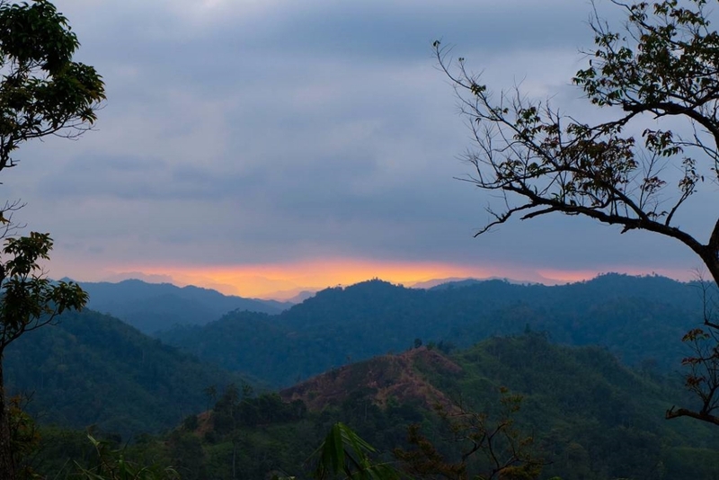 alpaca hill, camping field สวนผึ้ง, coro field, highland สวนผึ้ง, moai coffee, new land สวนผึ้ง, the camping field, the scenery vintage farm, veneto, veneto สวนผึ้ง, จุดชมวิวห้วยคอกหมู, จุดชมวิวเขากระโจม, ชิราคาวาโกะ คาเฟ่, ชิราคาวาโกะ สวนผึ้ง, ตลาดห้วยน้ำใส, ตลาดเช้าริมธาร, ตลาดเช้าริมธาร สวนผึ้ง, ตลาดโอ๊ะป่อย, ที่เที่ยวสวนผึ้ง, ที่เที่ยวสวนผึ้ง 2023, ที่เที่ยวสวนผึ้ง 2024, ที่เที่ยวสวนผึ้ง 2567, ธารน้ำร้อนบ่อคลึง, น้ำตกเก้าชั้น, น้ำตกเก้าโจน, นิวแลนด์ สวนผึ้ง, บ้านมอญห้วยน้ำใส, บ้านหอมเทียน, ราชบุรี, วอเตอร์ปาร์ค สวนผึ้ง, สวนป่าสิริกิตติ์, สวนผึ้ง, สวนผึ้งไฮแลนด์, สวนเลม่อน พสุธารา, สวนเลม่อน สวนผึ้ง, ห้วยคอกหมู, อัลปาก้า ฮิลล์, เขากระโจม, เดอะ ซีนเนอร์รี่ วินเทจ ฟาร์ม, เดอะรีสอร์ท วอเตอร์ปาร์ค, เที่ยวสวนผึ้ง, เที่ยวสวนผึ้ง 2024, เที่ยวสวนผึ้ง 2567, เวเนโต้ สวนผึ้ง, แก่งส้มแมว, โคโร่ ฟิลด์, โมไอ สวนผึ้ง, ไร่องุ่นมีสุข, ไร่องุ่นมีสุข สวนผึ้ง, top 20+ ที่เที่ยวสวนผึ้ง [กรกฎาคม 2024] สัมผัสธรรมชาติ ท่ามกลางหุบเขา จังหวัดราชบุรี
