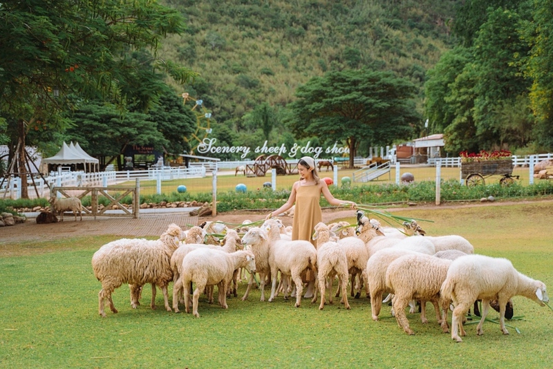 alpaca hill, camping field สวนผึ้ง, coro field, highland สวนผึ้ง, moai coffee, new land สวนผึ้ง, the camping field, the scenery vintage farm, veneto, veneto สวนผึ้ง, จุดชมวิวห้วยคอกหมู, จุดชมวิวเขากระโจม, ชิราคาวาโกะ คาเฟ่, ชิราคาวาโกะ สวนผึ้ง, ตลาดห้วยน้ำใส, ตลาดเช้าริมธาร, ตลาดเช้าริมธาร สวนผึ้ง, ตลาดโอ๊ะป่อย, ที่เที่ยวสวนผึ้ง, ที่เที่ยวสวนผึ้ง 2023, ที่เที่ยวสวนผึ้ง 2024, ที่เที่ยวสวนผึ้ง 2567, ธารน้ำร้อนบ่อคลึง, น้ำตกเก้าชั้น, น้ำตกเก้าโจน, นิวแลนด์ สวนผึ้ง, บ้านมอญห้วยน้ำใส, บ้านหอมเทียน, ราชบุรี, วอเตอร์ปาร์ค สวนผึ้ง, สวนป่าสิริกิตติ์, สวนผึ้ง, สวนผึ้งไฮแลนด์, สวนเลม่อน พสุธารา, สวนเลม่อน สวนผึ้ง, ห้วยคอกหมู, อัลปาก้า ฮิลล์, เขากระโจม, เดอะ ซีนเนอร์รี่ วินเทจ ฟาร์ม, เดอะรีสอร์ท วอเตอร์ปาร์ค, เที่ยวสวนผึ้ง, เที่ยวสวนผึ้ง 2024, เที่ยวสวนผึ้ง 2567, เวเนโต้ สวนผึ้ง, แก่งส้มแมว, โคโร่ ฟิลด์, โมไอ สวนผึ้ง, ไร่องุ่นมีสุข, ไร่องุ่นมีสุข สวนผึ้ง, top 20+ ที่เที่ยวสวนผึ้ง [กรกฎาคม 2024] สัมผัสธรรมชาติ ท่ามกลางหุบเขา จังหวัดราชบุรี