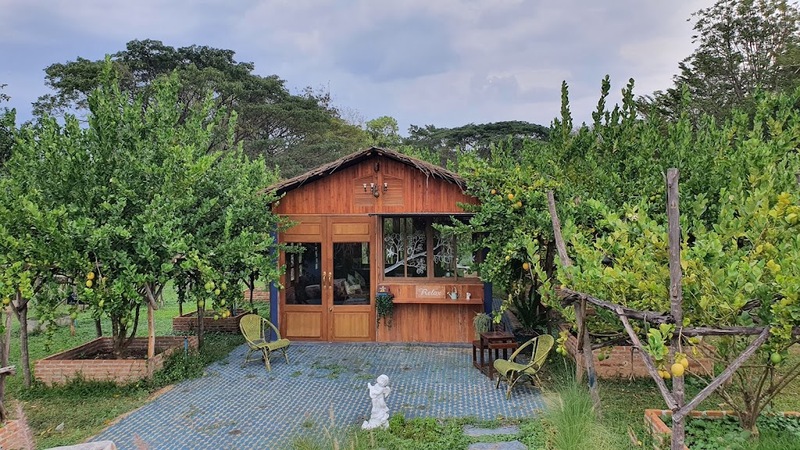 alpaca hill, camping field สวนผึ้ง, coro field, highland สวนผึ้ง, moai coffee, new land สวนผึ้ง, the camping field, the scenery vintage farm, veneto, veneto สวนผึ้ง, จุดชมวิวห้วยคอกหมู, จุดชมวิวเขากระโจม, ชิราคาวาโกะ คาเฟ่, ชิราคาวาโกะ สวนผึ้ง, ตลาดห้วยน้ำใส, ตลาดเช้าริมธาร, ตลาดเช้าริมธาร สวนผึ้ง, ตลาดโอ๊ะป่อย, ที่เที่ยวสวนผึ้ง, ที่เที่ยวสวนผึ้ง 2023, ที่เที่ยวสวนผึ้ง 2024, ที่เที่ยวสวนผึ้ง 2567, ธารน้ำร้อนบ่อคลึง, น้ำตกเก้าชั้น, น้ำตกเก้าโจน, นิวแลนด์ สวนผึ้ง, บ้านมอญห้วยน้ำใส, บ้านหอมเทียน, ราชบุรี, วอเตอร์ปาร์ค สวนผึ้ง, สวนป่าสิริกิตติ์, สวนผึ้ง, สวนผึ้งไฮแลนด์, สวนเลม่อน พสุธารา, สวนเลม่อน สวนผึ้ง, ห้วยคอกหมู, อัลปาก้า ฮิลล์, เขากระโจม, เดอะ ซีนเนอร์รี่ วินเทจ ฟาร์ม, เดอะรีสอร์ท วอเตอร์ปาร์ค, เที่ยวสวนผึ้ง, เที่ยวสวนผึ้ง 2024, เที่ยวสวนผึ้ง 2567, เวเนโต้ สวนผึ้ง, แก่งส้มแมว, โคโร่ ฟิลด์, โมไอ สวนผึ้ง, ไร่องุ่นมีสุข, ไร่องุ่นมีสุข สวนผึ้ง, top 20+ ที่เที่ยวสวนผึ้ง [กรกฎาคม 2024] สัมผัสธรรมชาติ ท่ามกลางหุบเขา จังหวัดราชบุรี