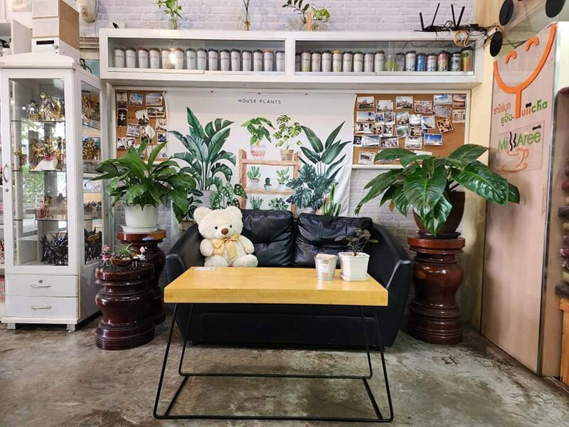 top 15+ คาเฟ่ยโสธร 2567 คาเฟ่เปิดใหม่ คาเฟ่ทุ่งนา ร้านกาแฟ วิวสวย