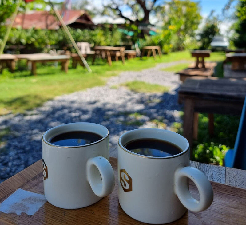 top 15+ คาเฟ่ยโสธร 2567 คาเฟ่เปิดใหม่ คาเฟ่ทุ่งนา ร้านกาแฟ วิวสวย