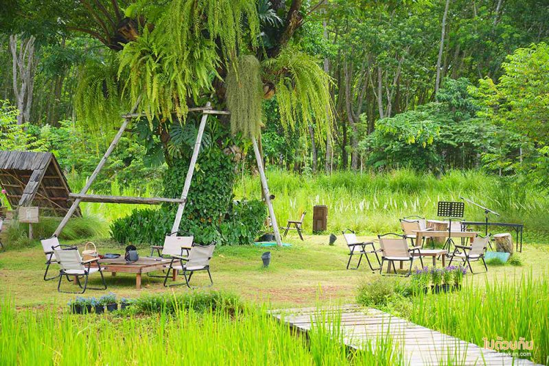 เที่ยวระยอง, คาเฟ่ระยอง, โอบบ์ farm & cafe, โอบบ์ farm & cafe คาเฟ่อบอุ่น กลางธรรมชาติโอบล้อม