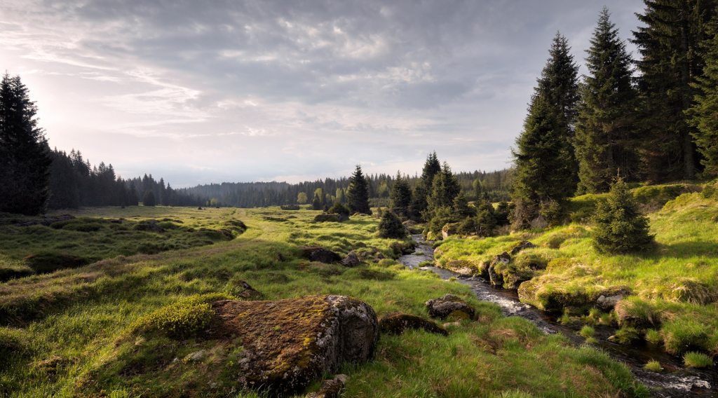 กรุงโซล, กำแพงเมืองจีน, ญี่ปุ่น 2024, ญี่ปุ่น 2567, ดูแสงเหนือ, ดูแสงเหนือ ทรอมโซ, ท่องเที่ยวญี่ปุ่น, ที่เที่ยวต่างประเทศ, นอร์เวย์, รัสเซีย, ลีเซฟยอร์ด, สาธารณรัฐเช็ก, ออสเตรีย, อัมสเตอร์ดัม, เกาหลี, เที่ยวกรุงเวียนนา, เที่ยวกรุงเฮก, เที่ยวจีน, เที่ยวญี่ปุ่น, เที่ยวต่างประเทศ, เที่ยวต่างประเทศ 2024, เที่ยวต่างประเทศ 2567, เที่ยวนอร์เวย์, เที่ยวปราก, เที่ยวปูซาน, เที่ยวรอตเทอร์ดาม, เที่ยวรัสเซีย, เที่ยวลอนดอน, เที่ยวสาธารณรัฐเช็ก, เที่ยวออสเตรีย, เที่ยวอังกฤษ, เที่ยวอัมสเตอร์ดัม, เที่ยวฮอกไกโด, เที่ยวเกาหลี, เที่ยวเกาหลีใต้, เที่ยวเช็ก, เที่ยวเนเธอร์แลนด์, เที่ยวโซล, เที่ยวโซล 2024, เที่ยวโตเกียว, เที่ยวโอซาก้า, เนเธอร์แลนด์, เมืองเอลซุนด์, แชงการีลา, เที่ยวต่างประเทศที่ไหนดี ? 10 ประเทศ น่าเที่ยว ที่ควรไปสัมผัสสักครั้ง ในปี 2024