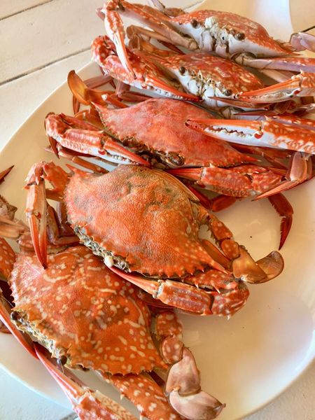 ร้านอาหารติดทะเล หัวหิน รวมร้านอาหารอร่อย บรรยากาศดีติดชายหาด ร้านเด็ดน่าแวะเมื่อมาประจวบฯ