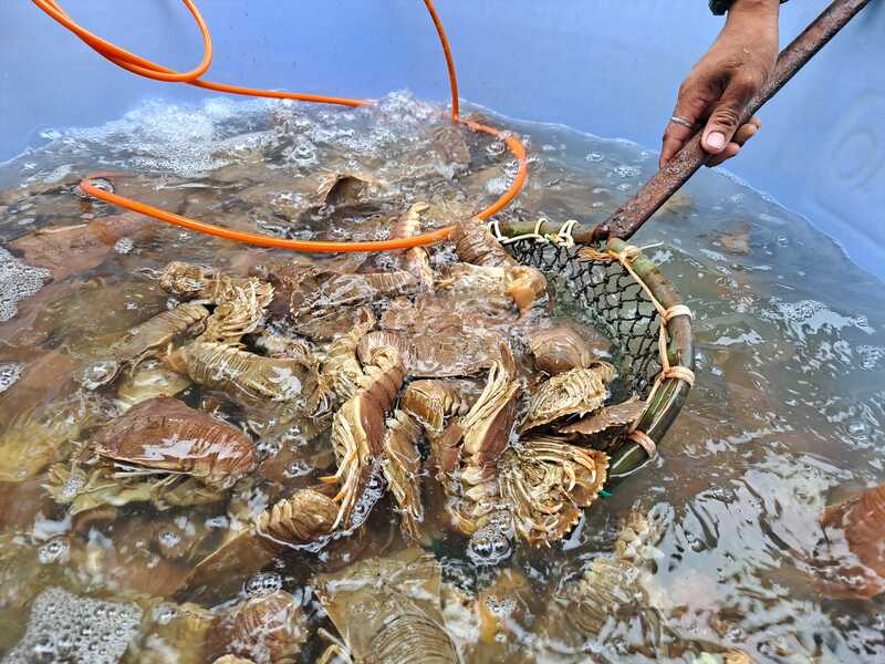 ร้านอาหารติดทะเล หัวหิน รวมร้านอาหารอร่อย บรรยากาศดีติดชายหาด ร้านเด็ดน่าแวะเมื่อมาประจวบฯ