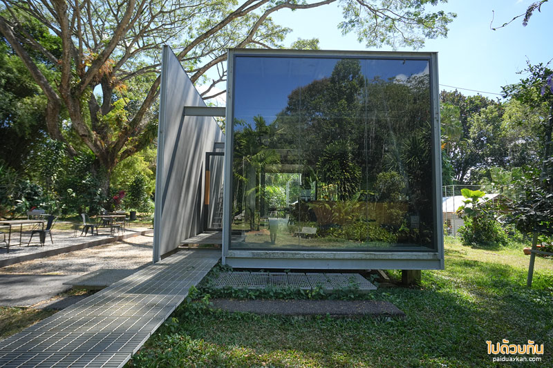 ร้านกาแฟเขาค้อ, เที่ยวเขาค้อ, คาเฟ่เขาค้อ, taproot เขาค้อ, taproot เขาค้อ คาเฟ่ผนังกระจกสุดเท่