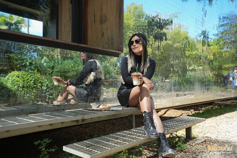 ร้านกาแฟเขาค้อ, เที่ยวเขาค้อ, คาเฟ่เขาค้อ, taproot เขาค้อ, taproot เขาค้อ คาเฟ่ผนังกระจกสุดเท่