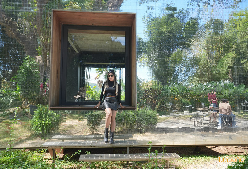 ร้านกาแฟเขาค้อ, เที่ยวเขาค้อ, คาเฟ่เขาค้อ, taproot เขาค้อ, taproot เขาค้อ คาเฟ่ผนังกระจกสุดเท่